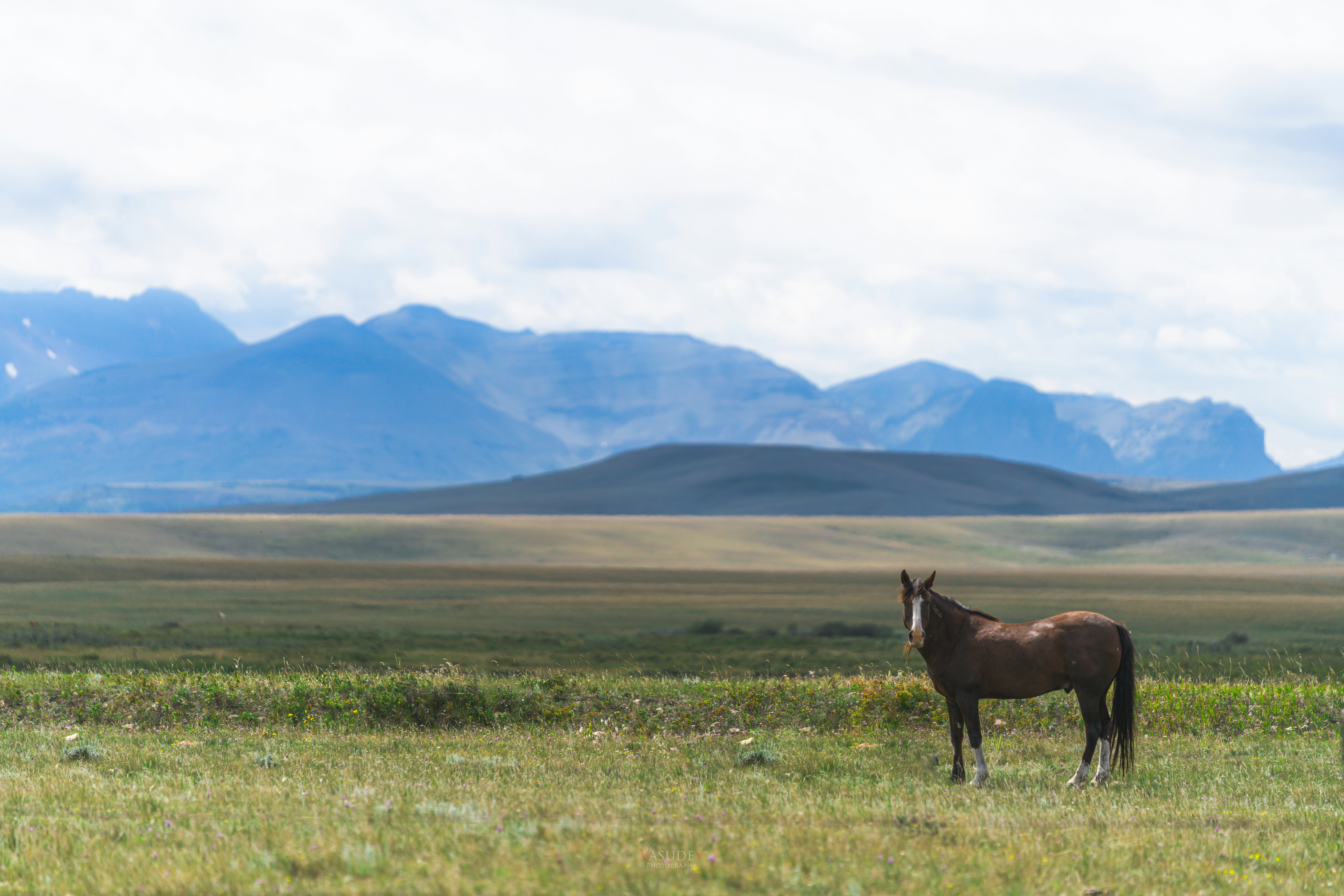 Photo by vasupendyalaa