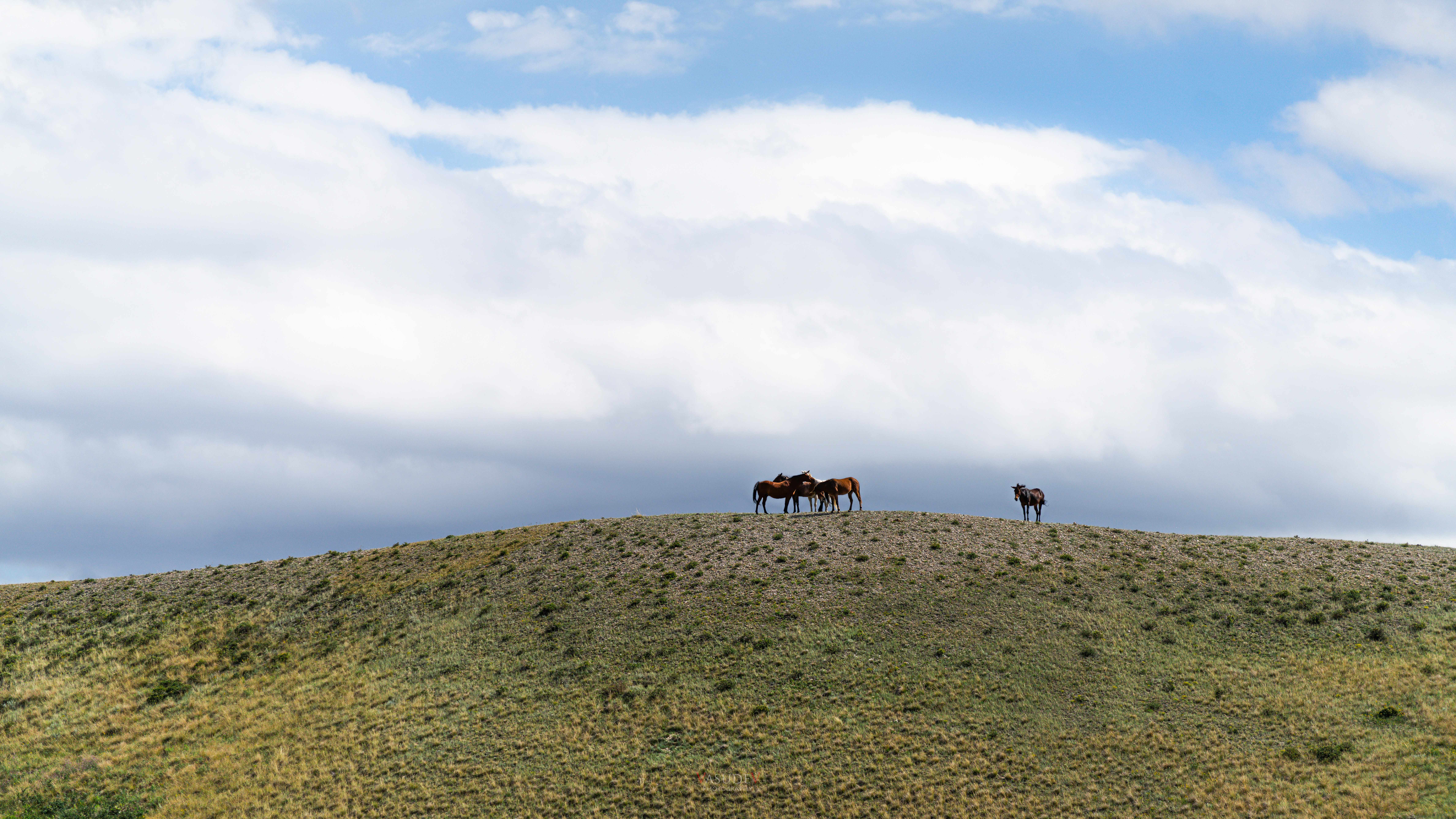 Photo by vasupendyalaa