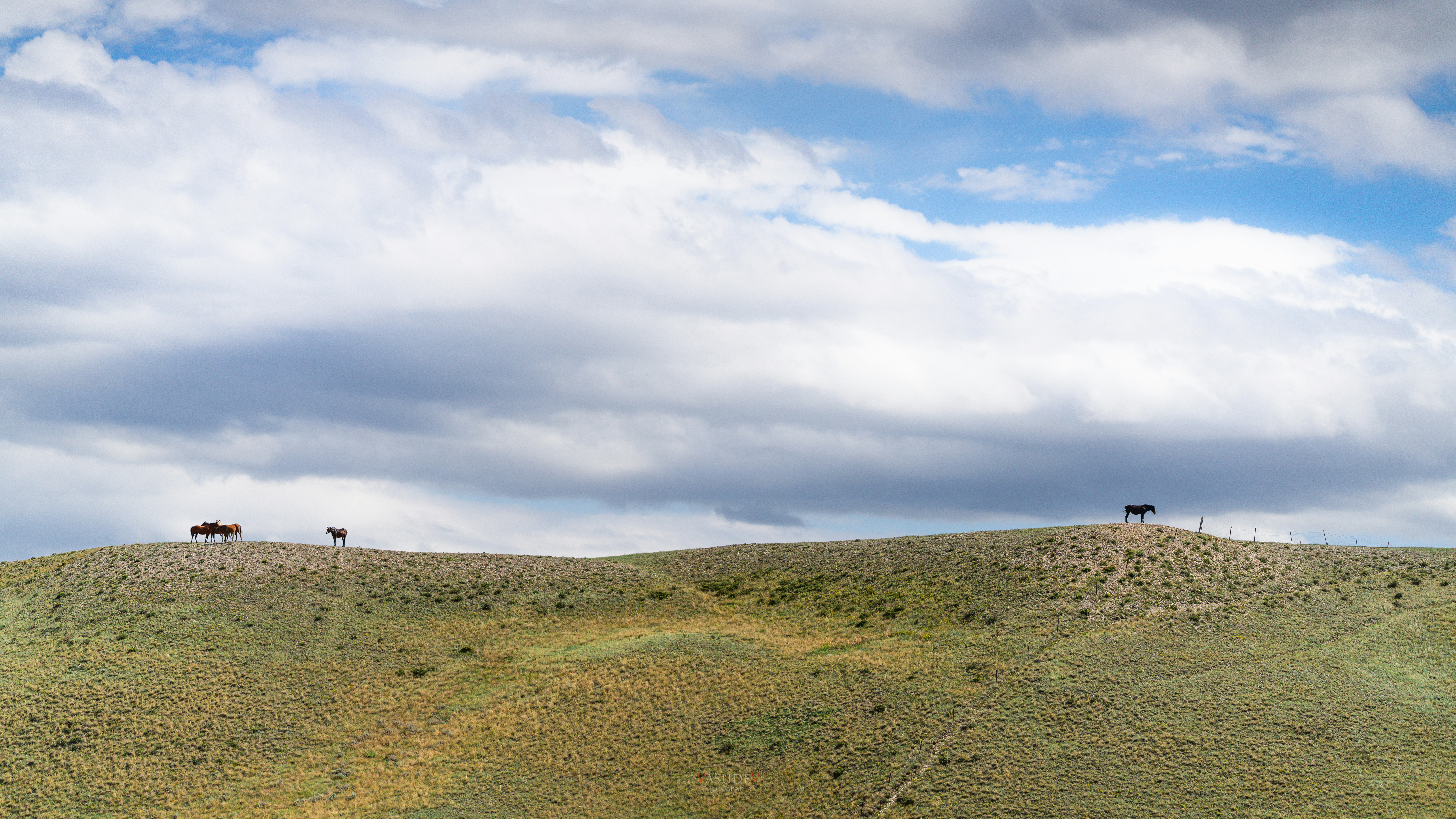 Photo by vasupendyalaa