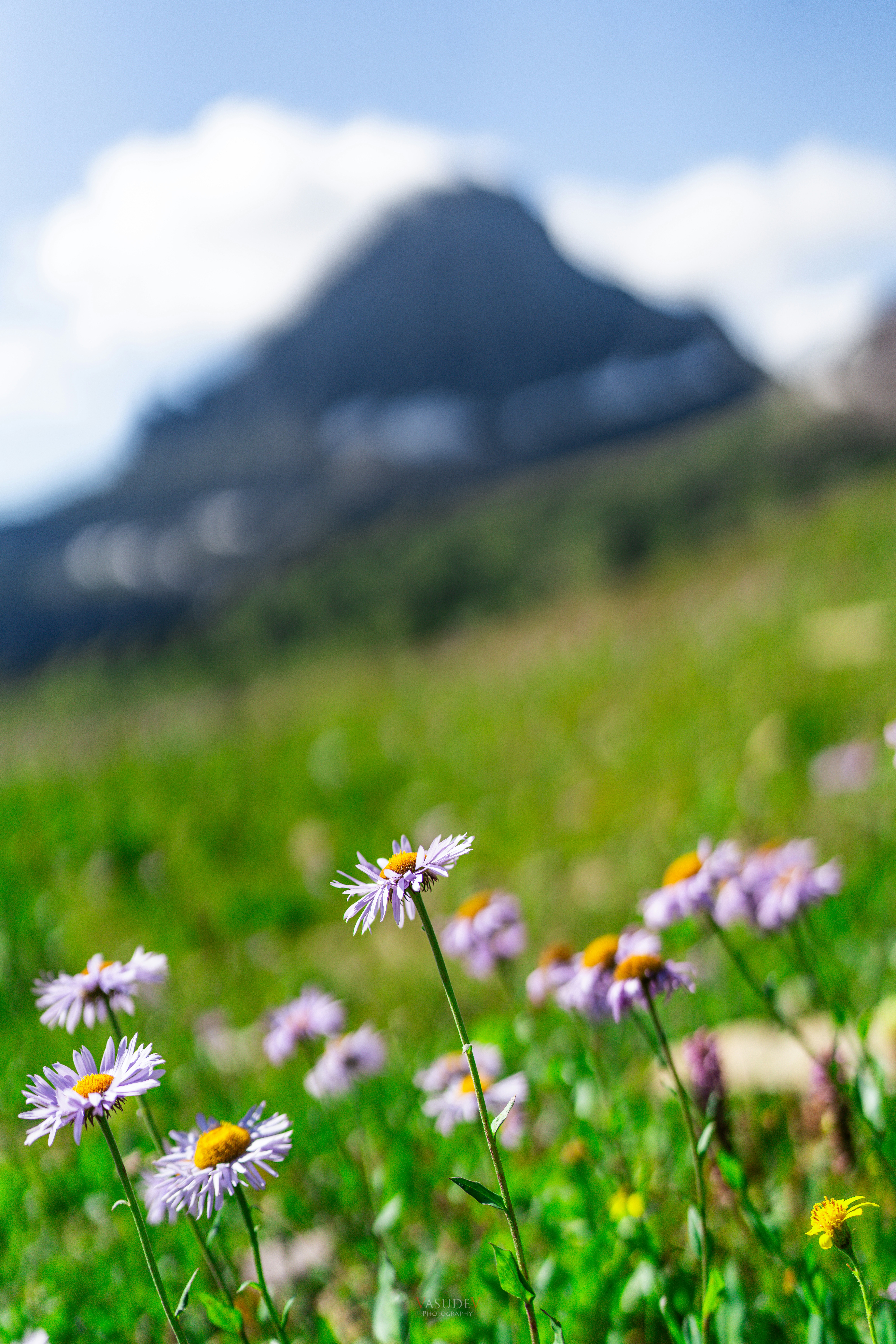 Photo by vasupendyalaa