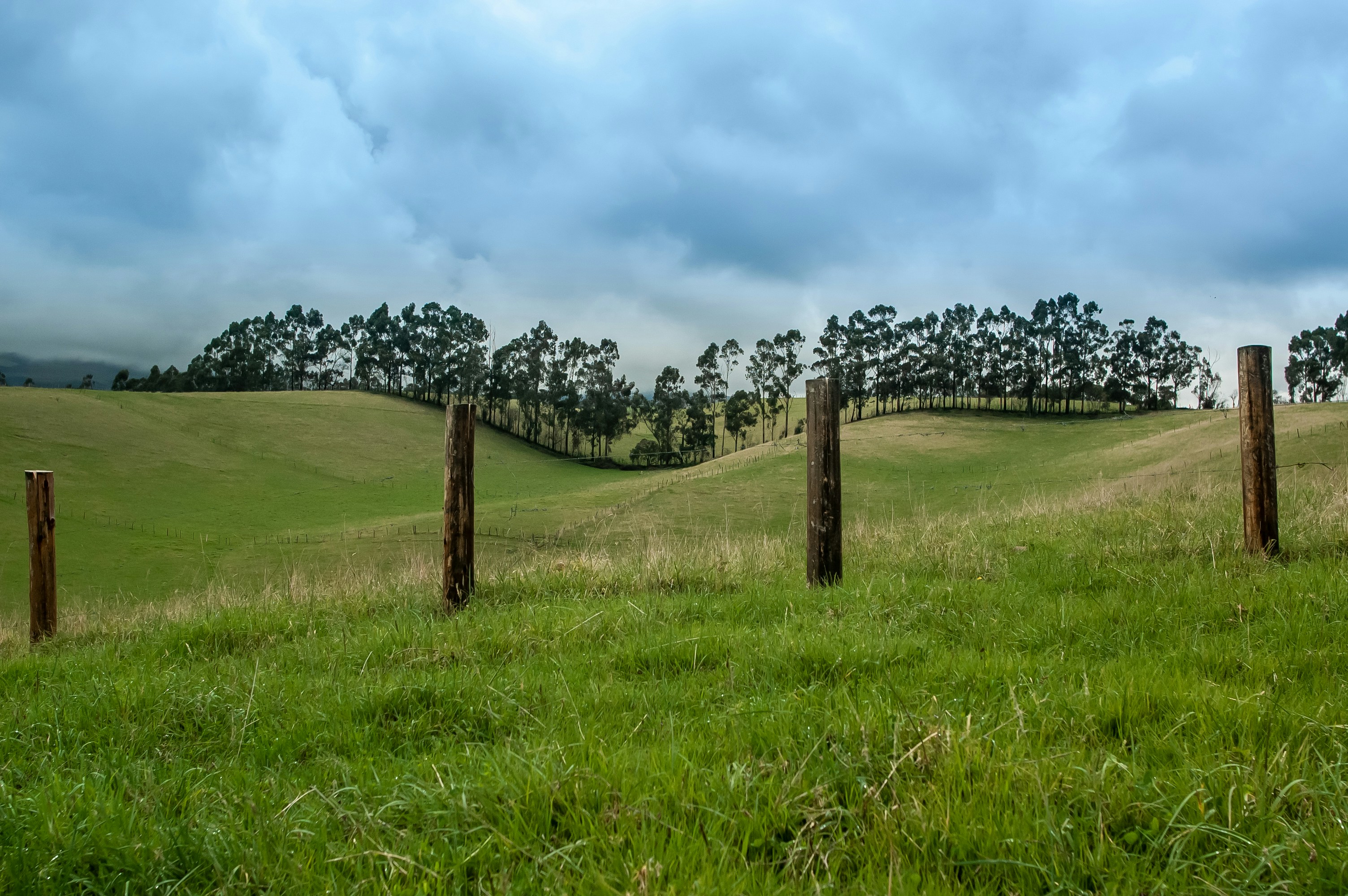 Green rolling hills under a cloudy sky photo – Free Travel Image on ...