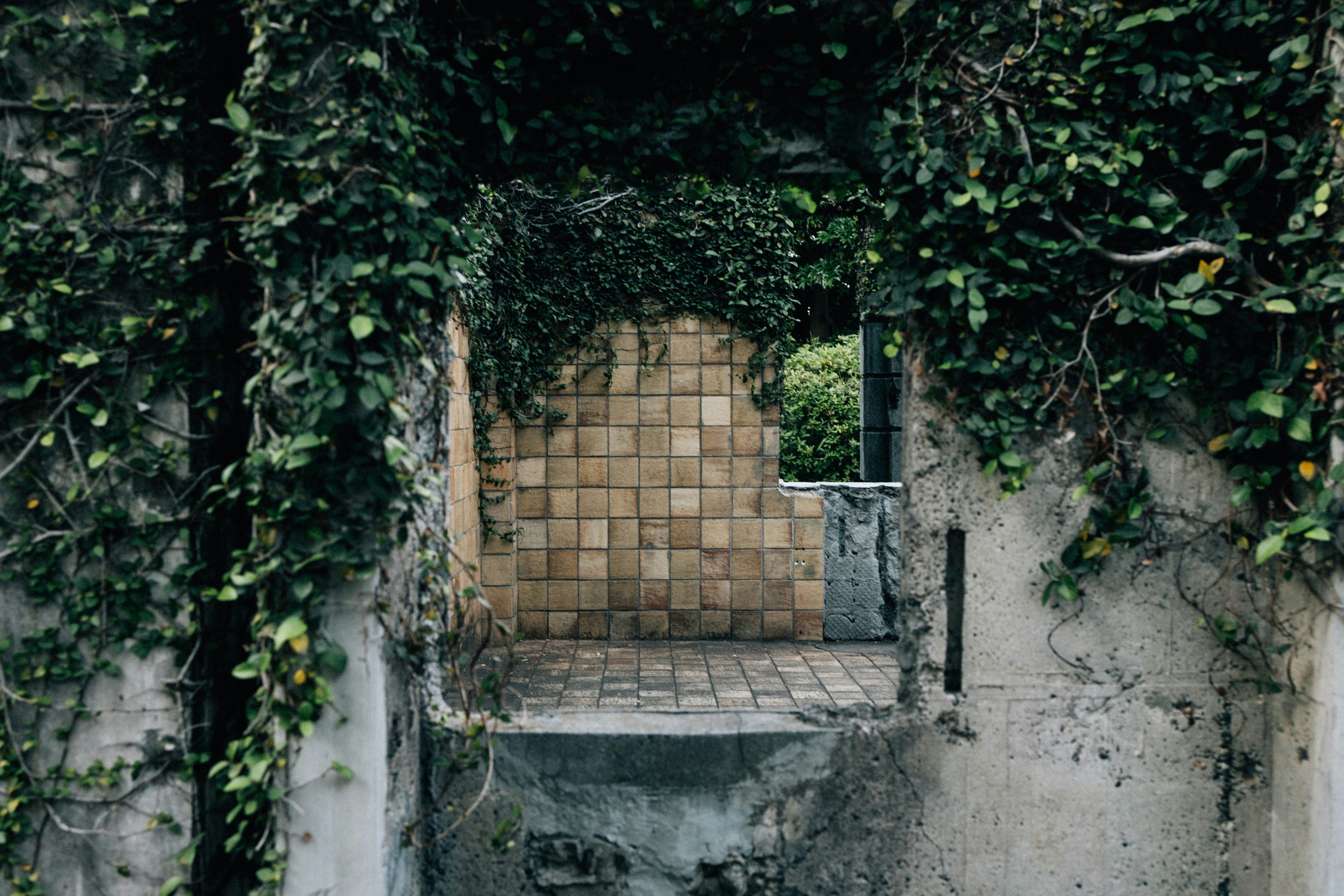 Photo by tsuyoshikozu