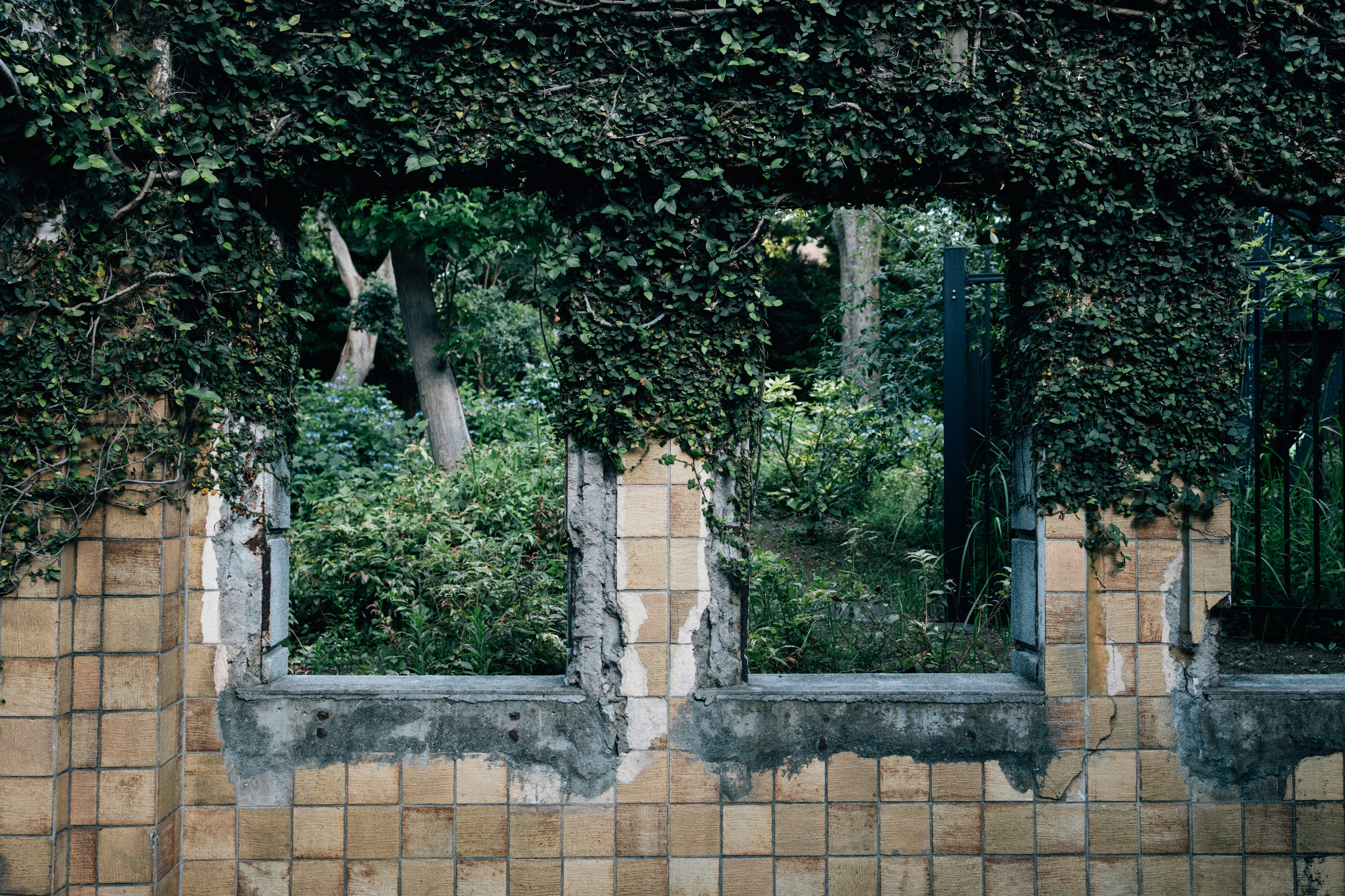 Photo by tsuyoshikozu