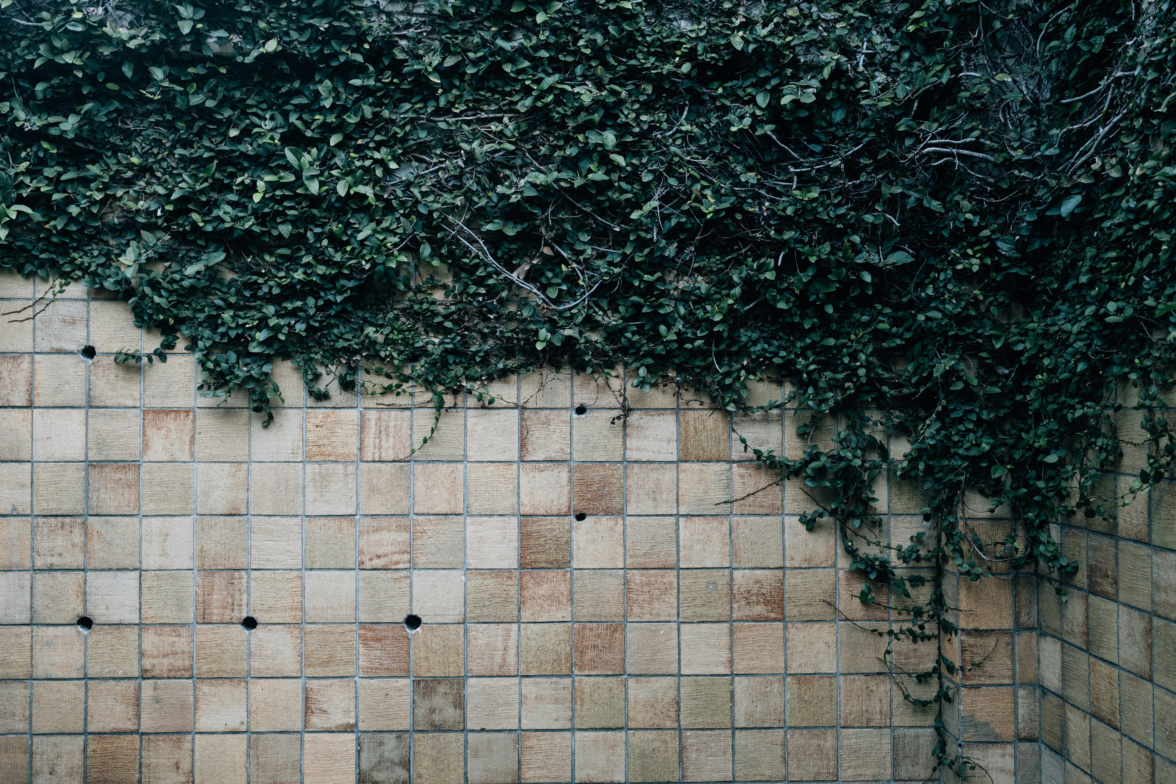 Photo by tsuyoshikozu