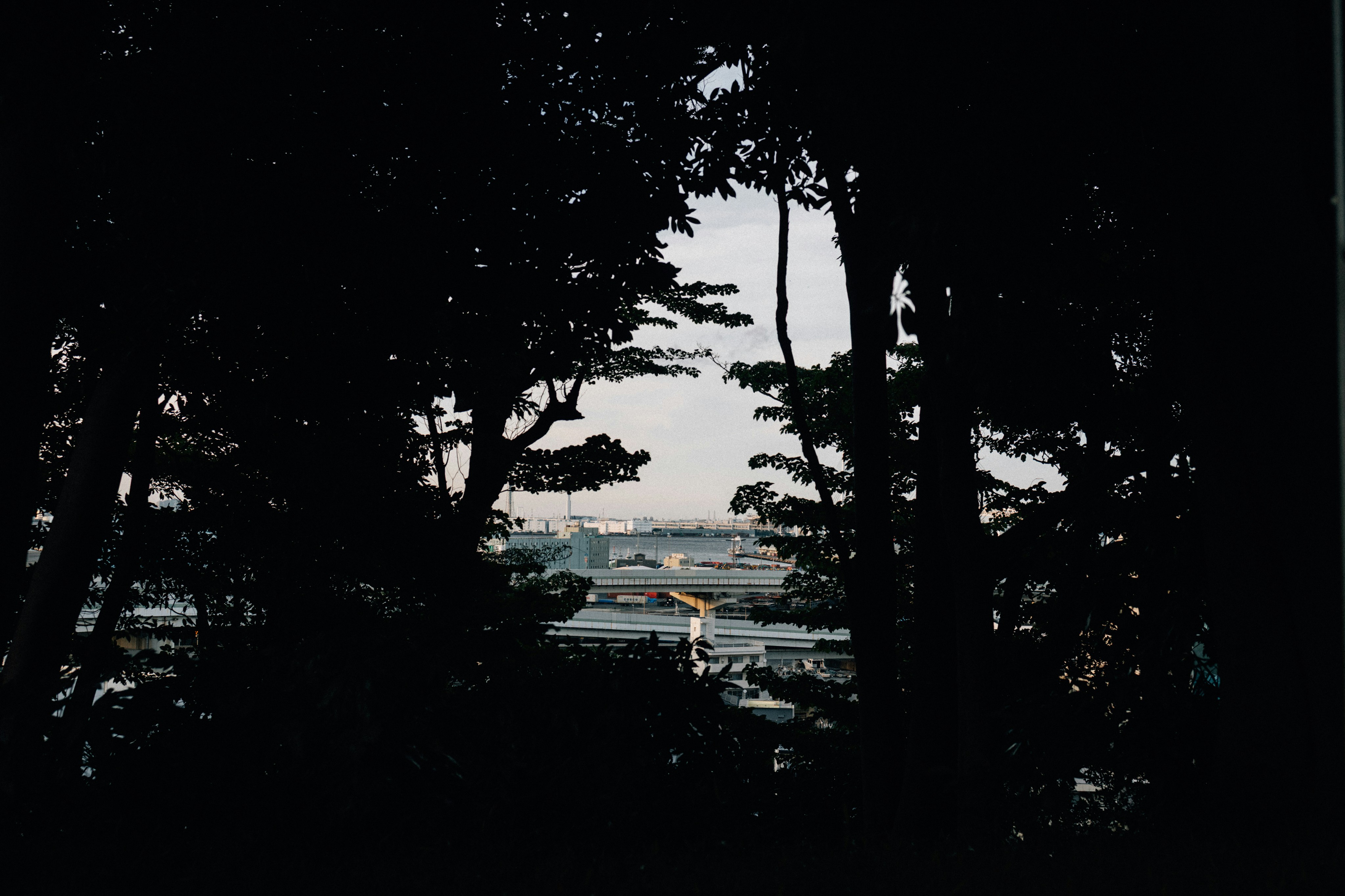 Photo by tsuyoshikozu