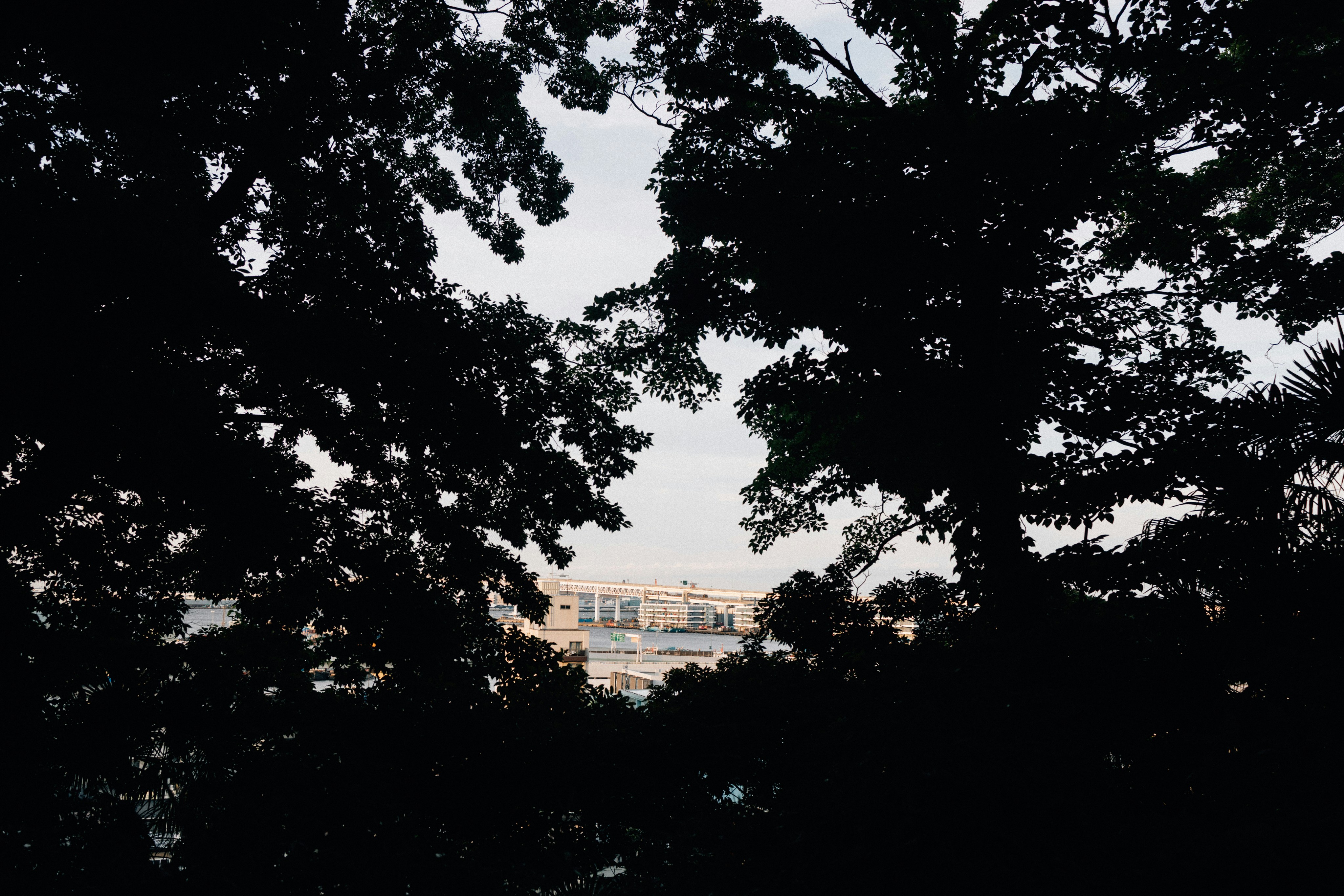Photo by tsuyoshikozu