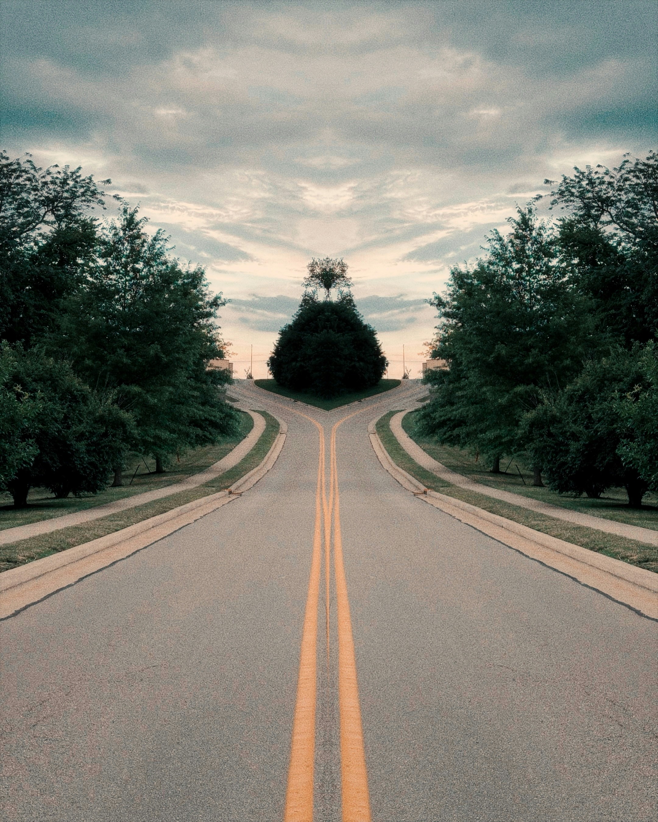 Symmetrical road splitting into two paths with trees