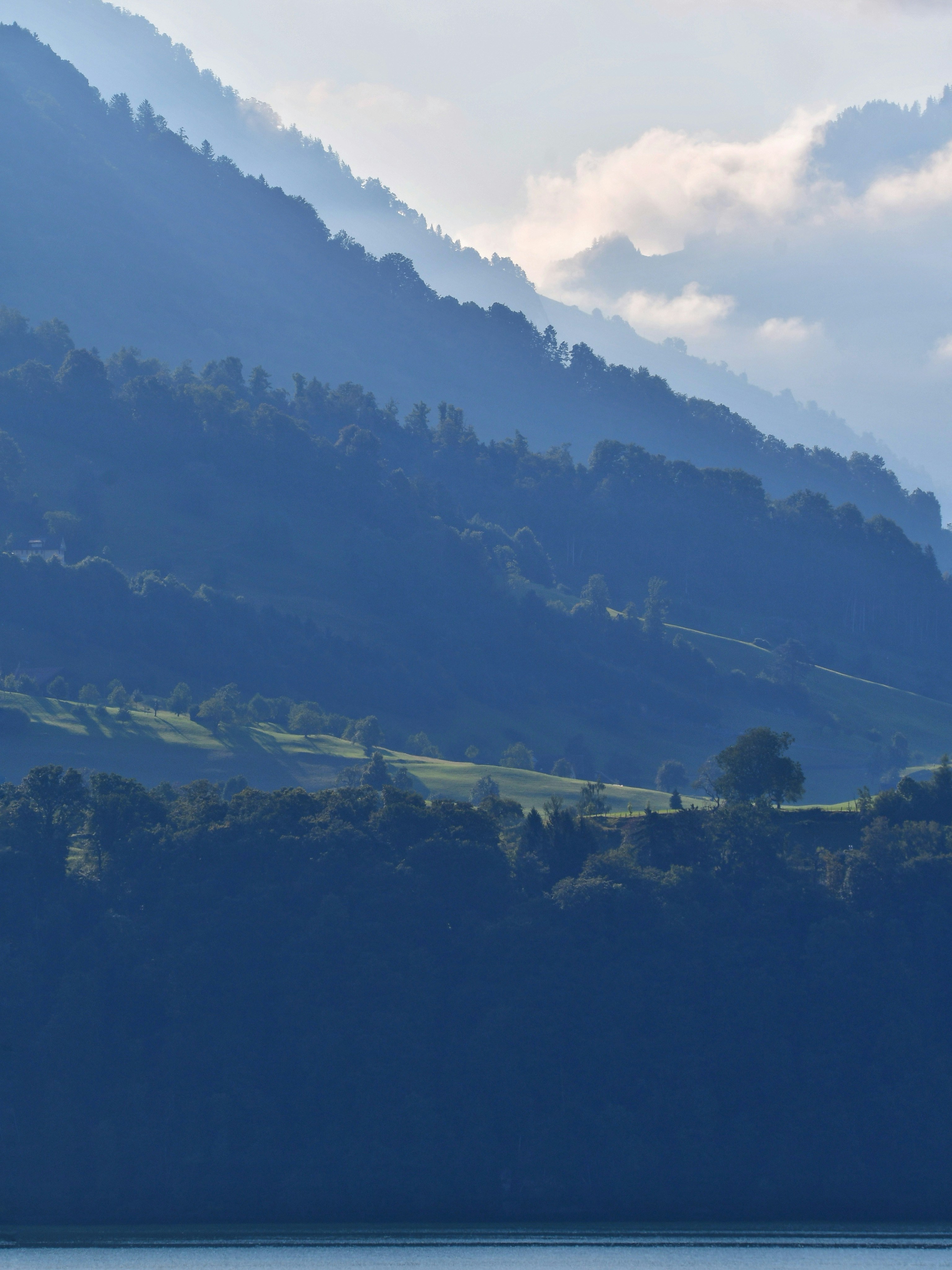 Photo by pedrino5_official