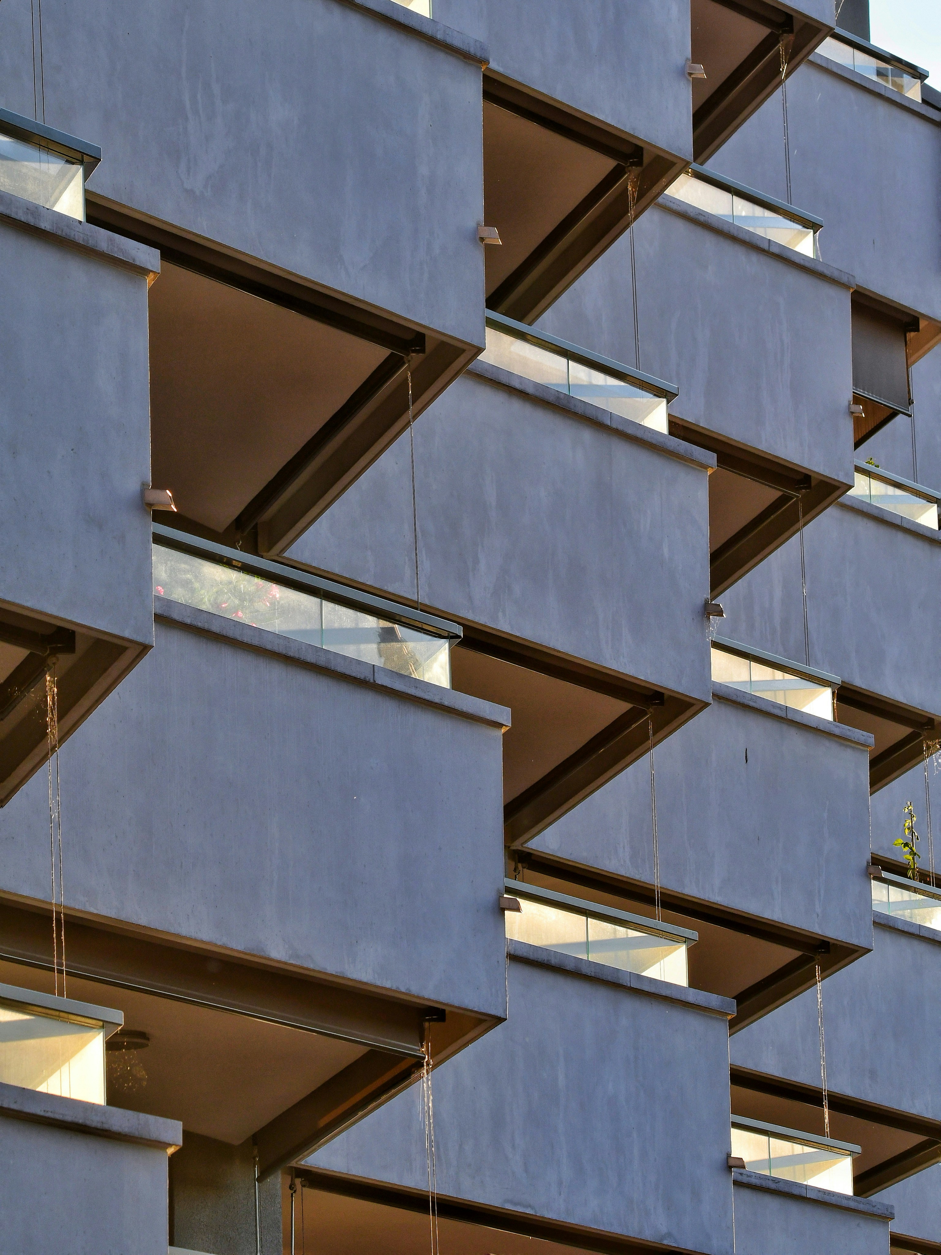 Photo by pedrino5_official