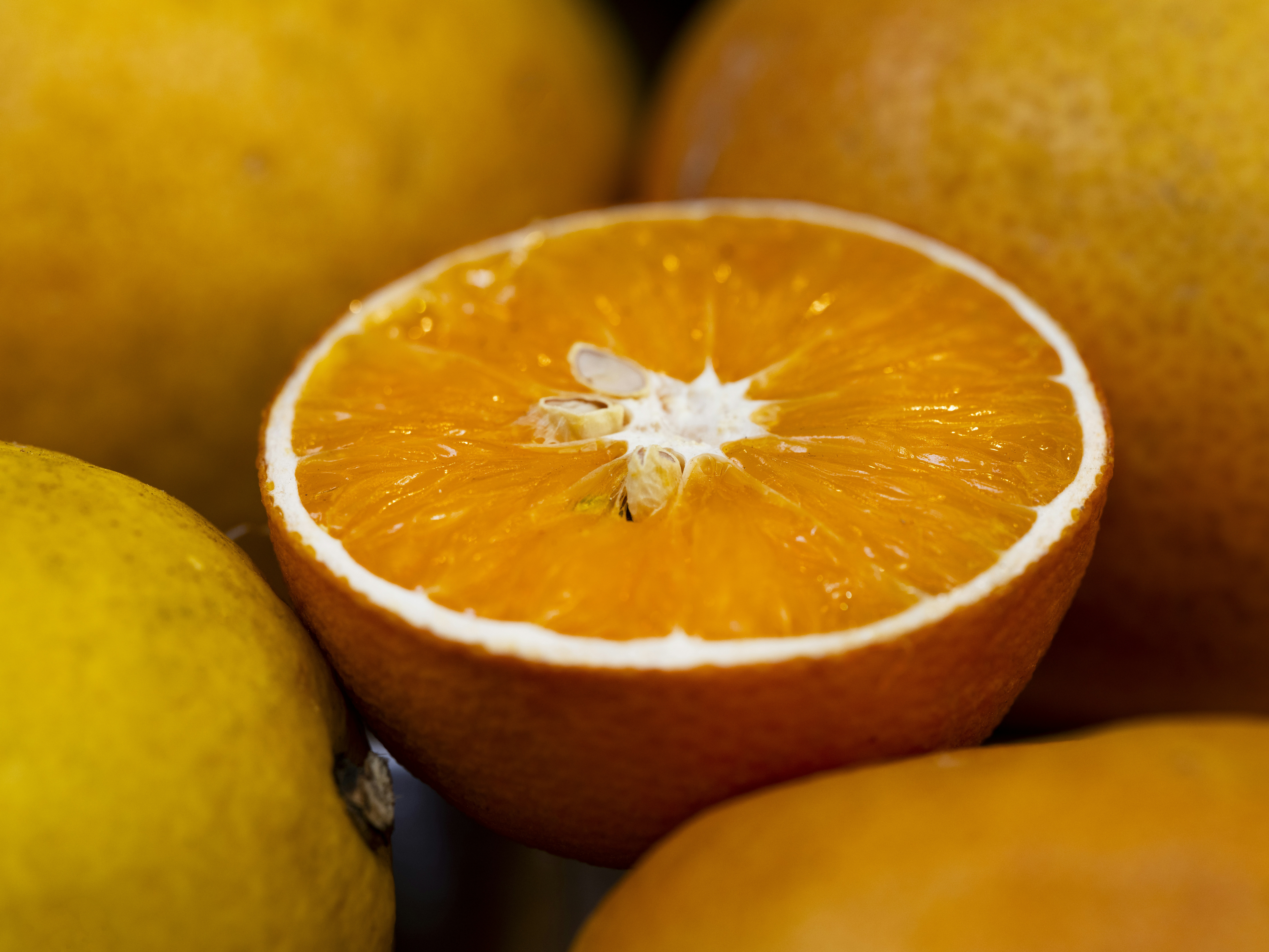 Photo by enginakyurt