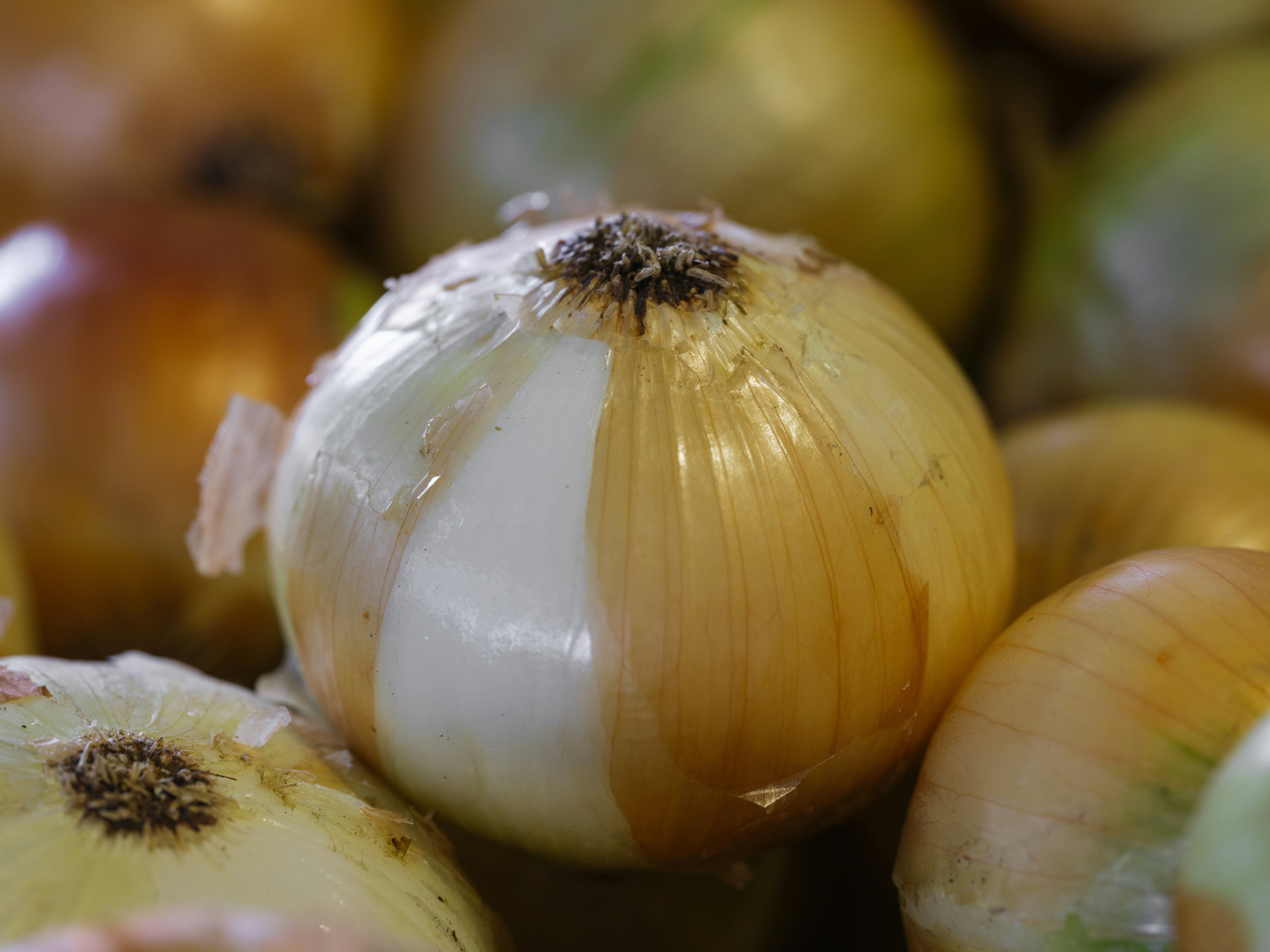 Photo by enginakyurt