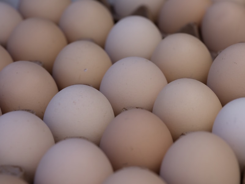 Fresh organic eggs in a basket from free-roaming hens