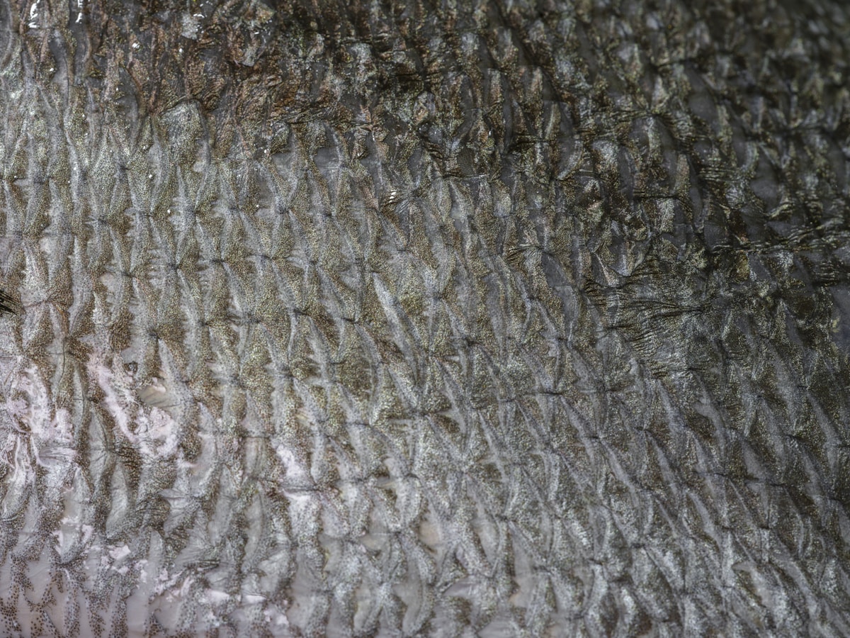 Glutathione in Korean Skincare: The Brightening Antioxidant