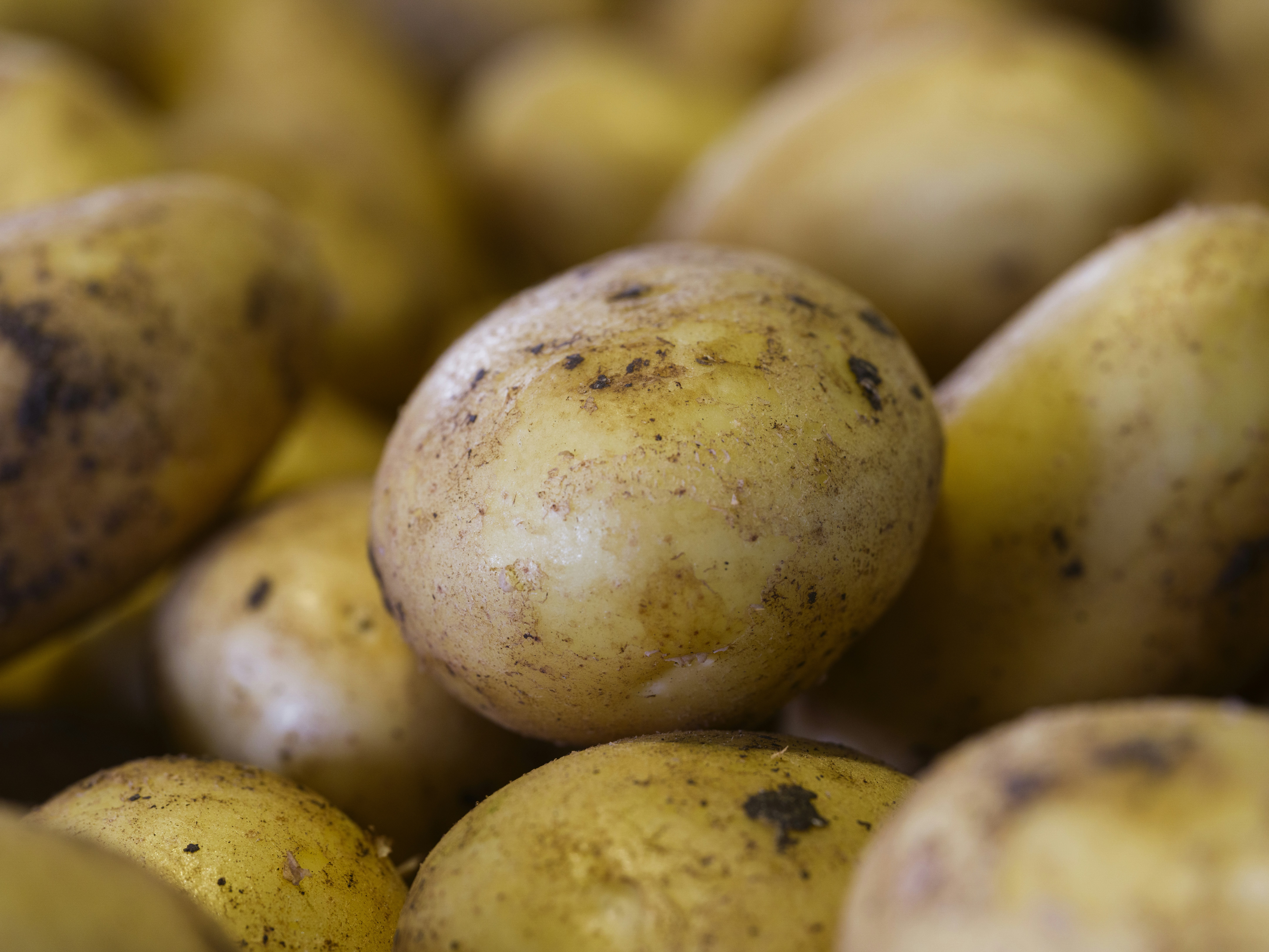 raw potatoes - best grain free vodka