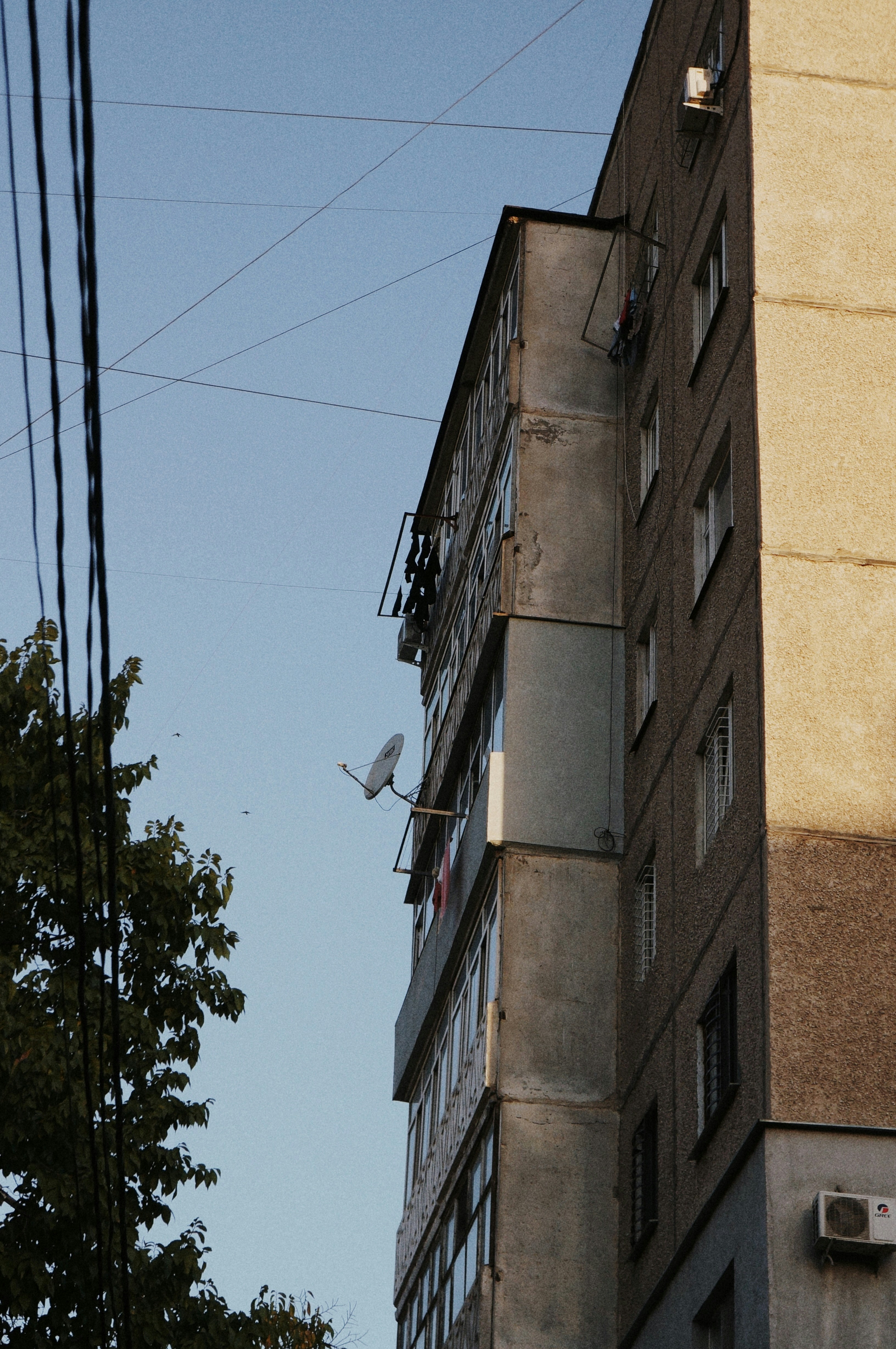 Photo by lethbptl