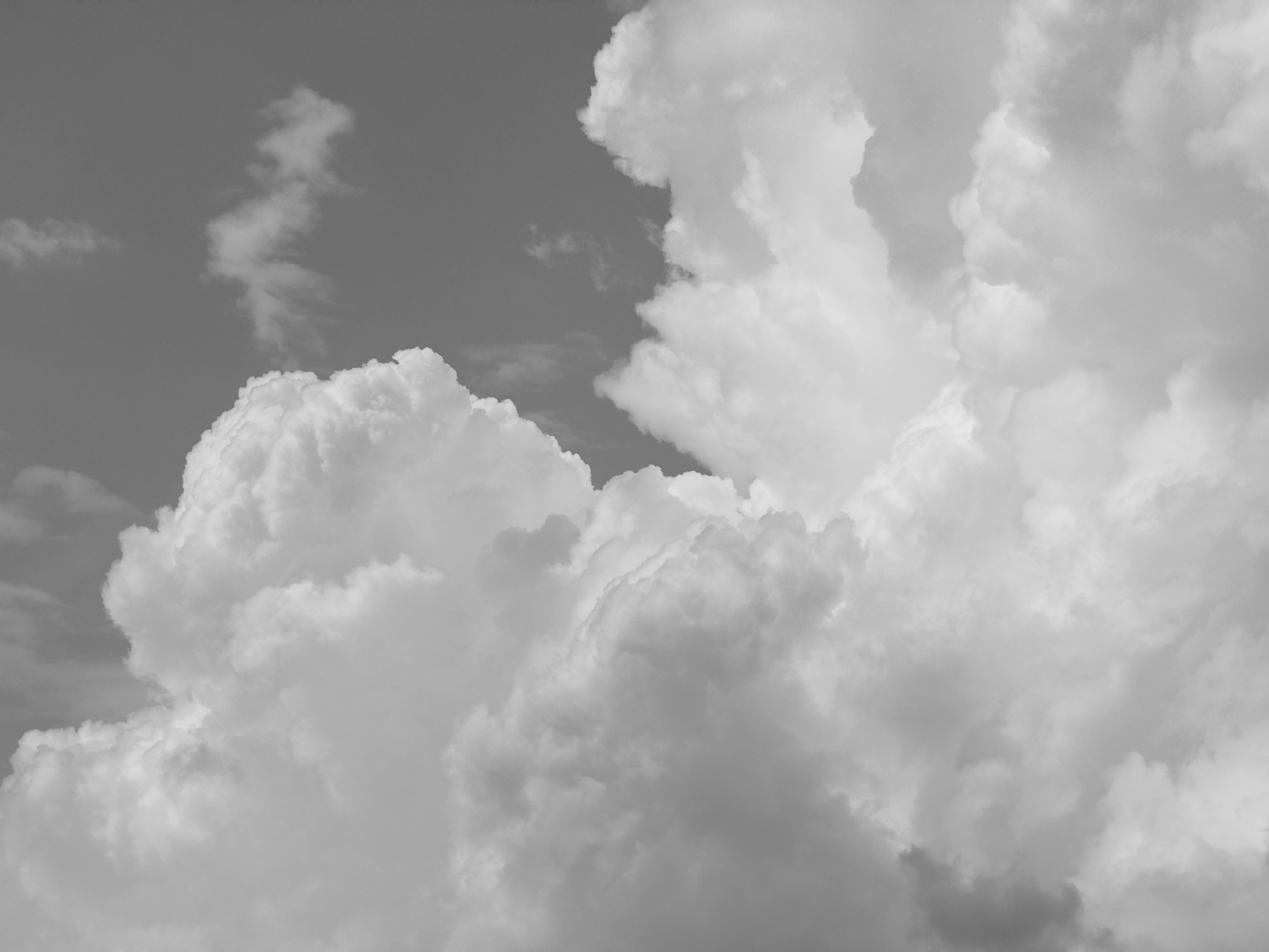 Photo by enginakyurt