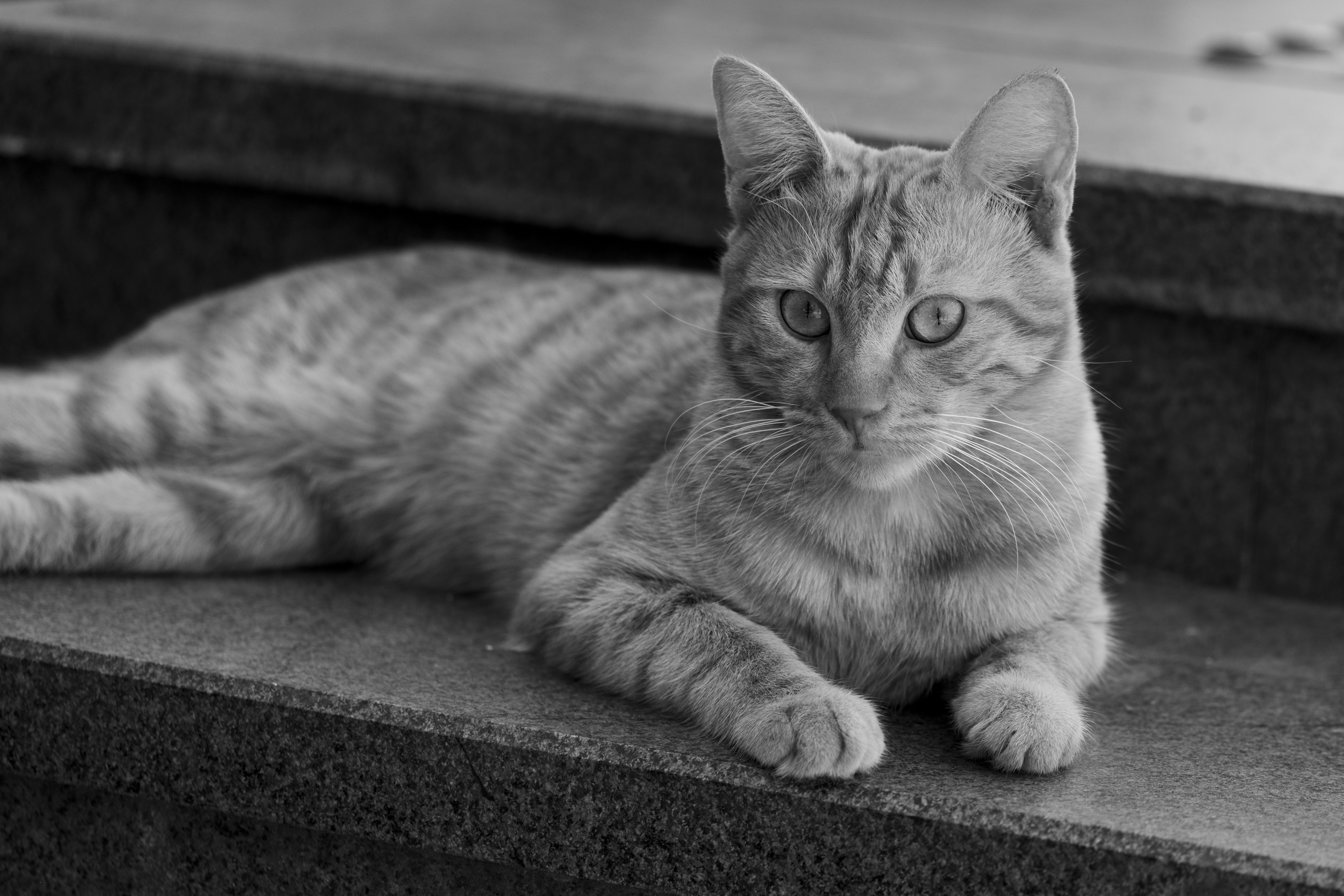 Photo by enginakyurt