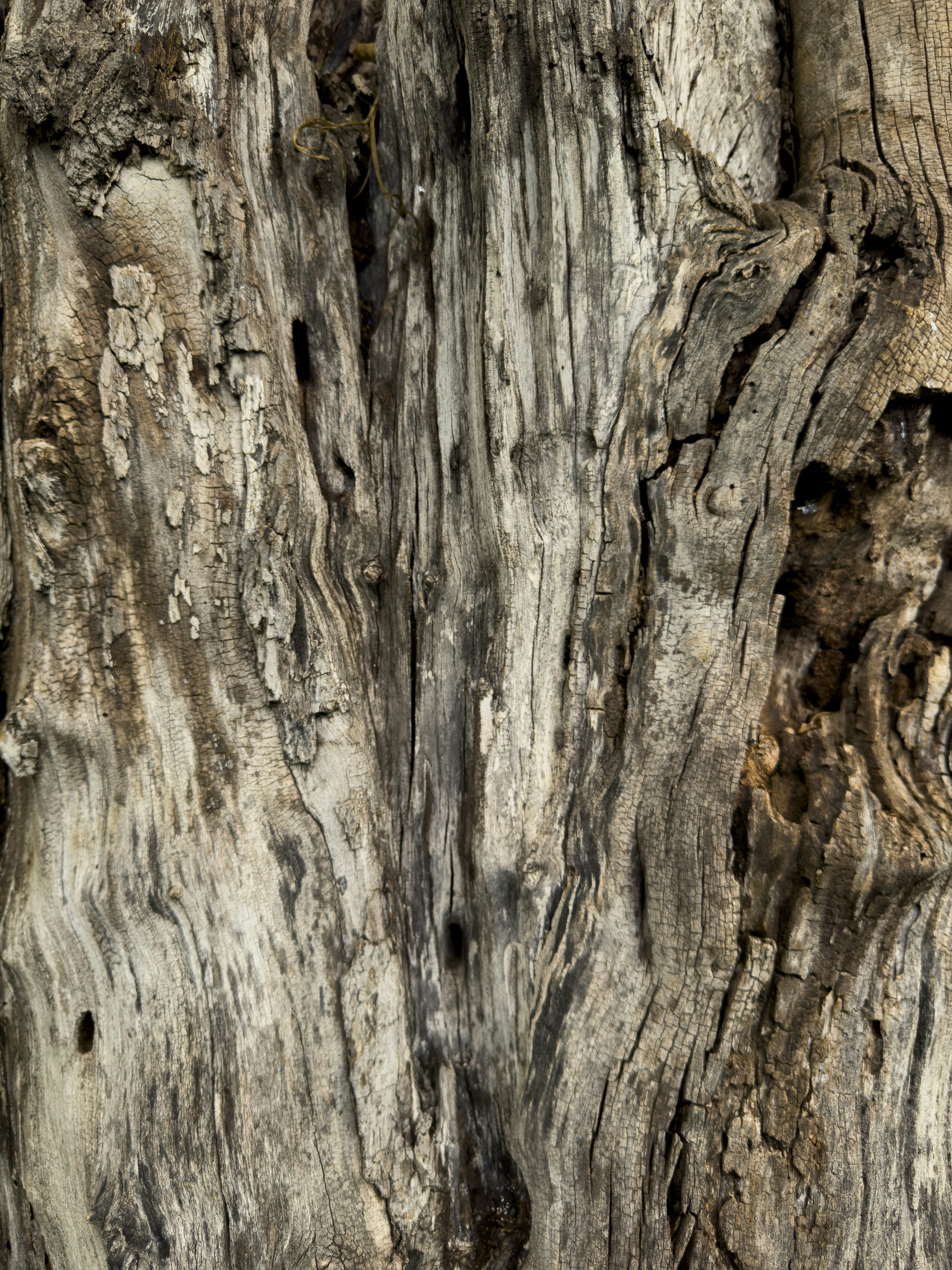 Photo by enginakyurt