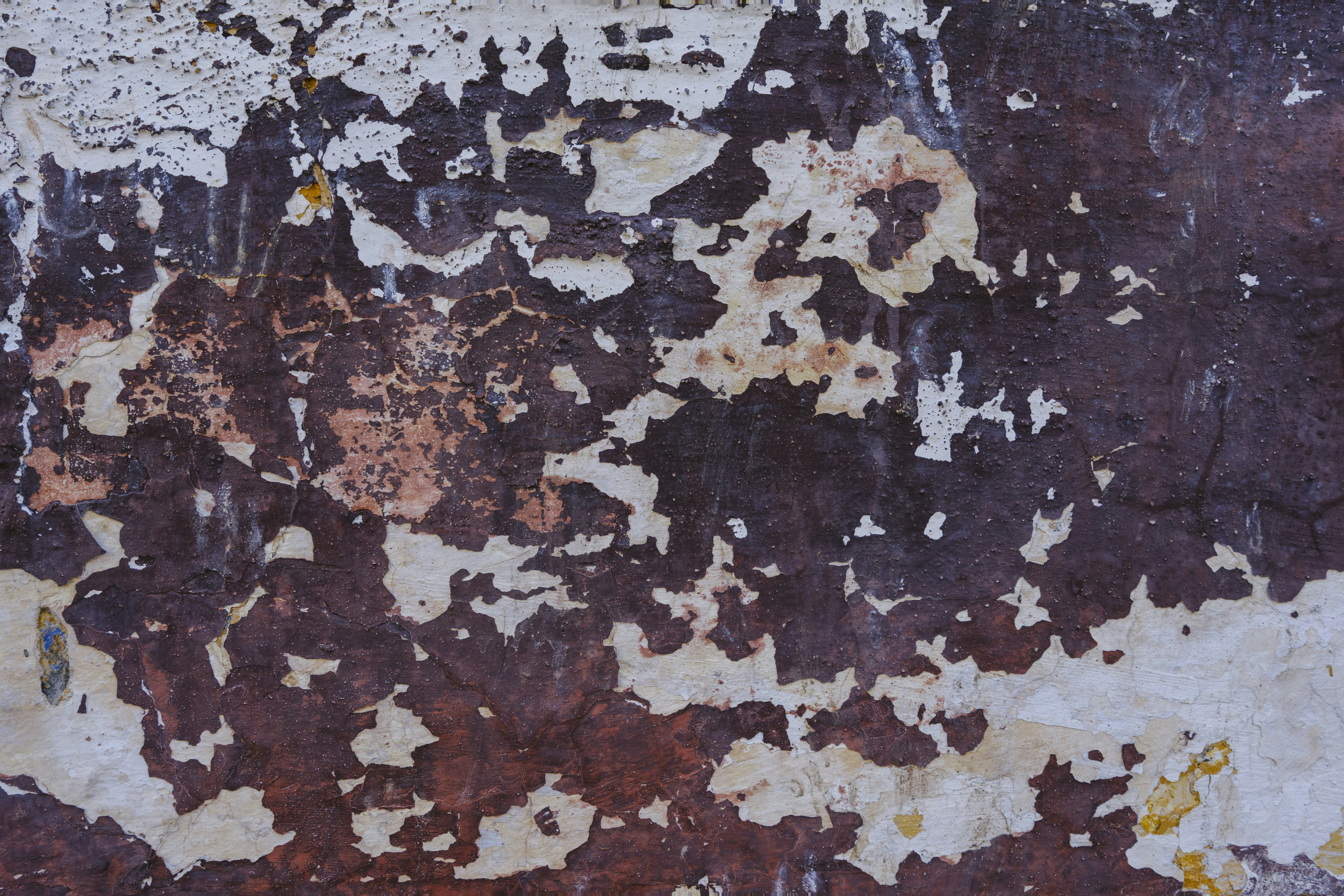 Photo by enginakyurt