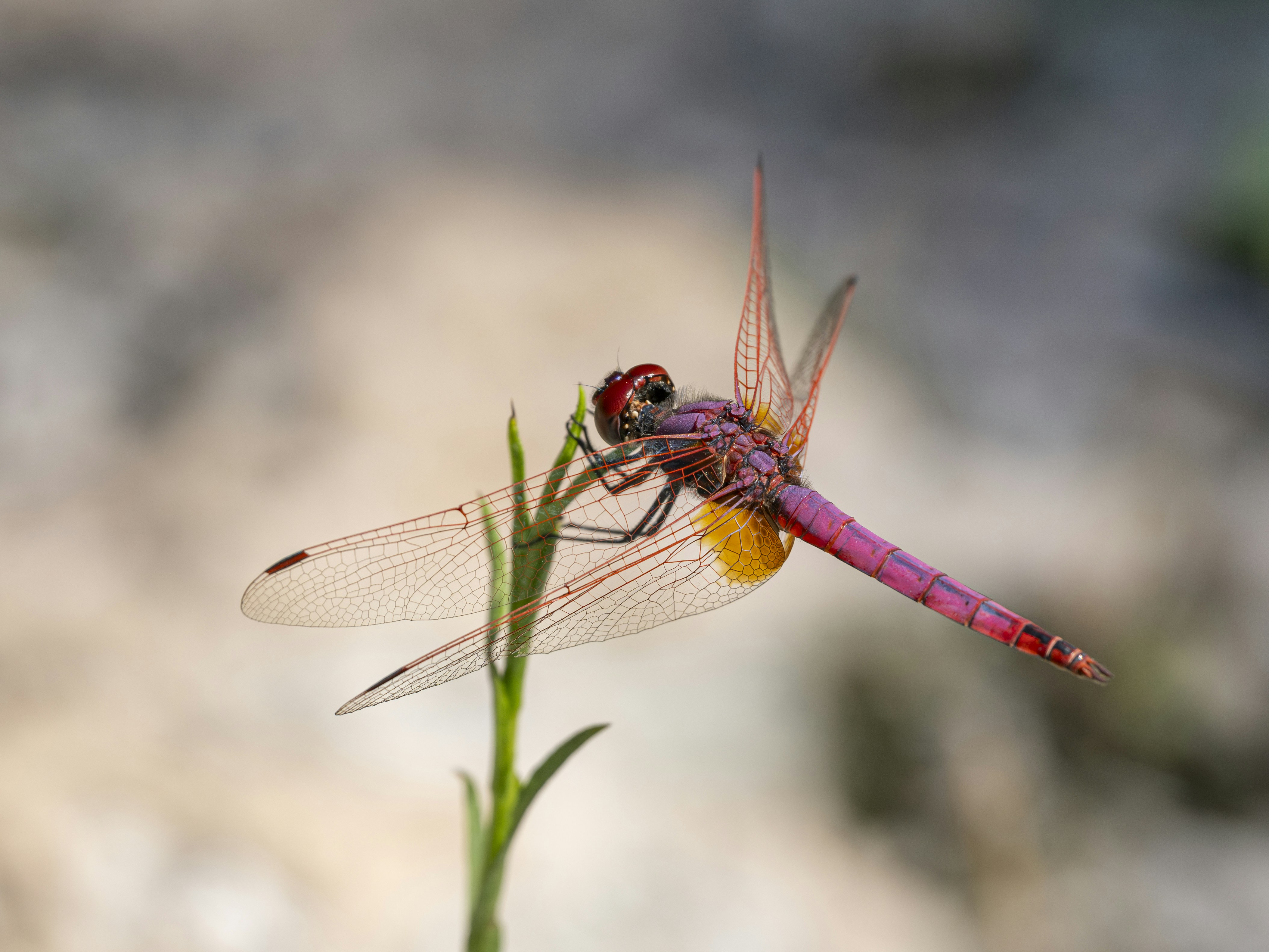 Photo by enginakyurt