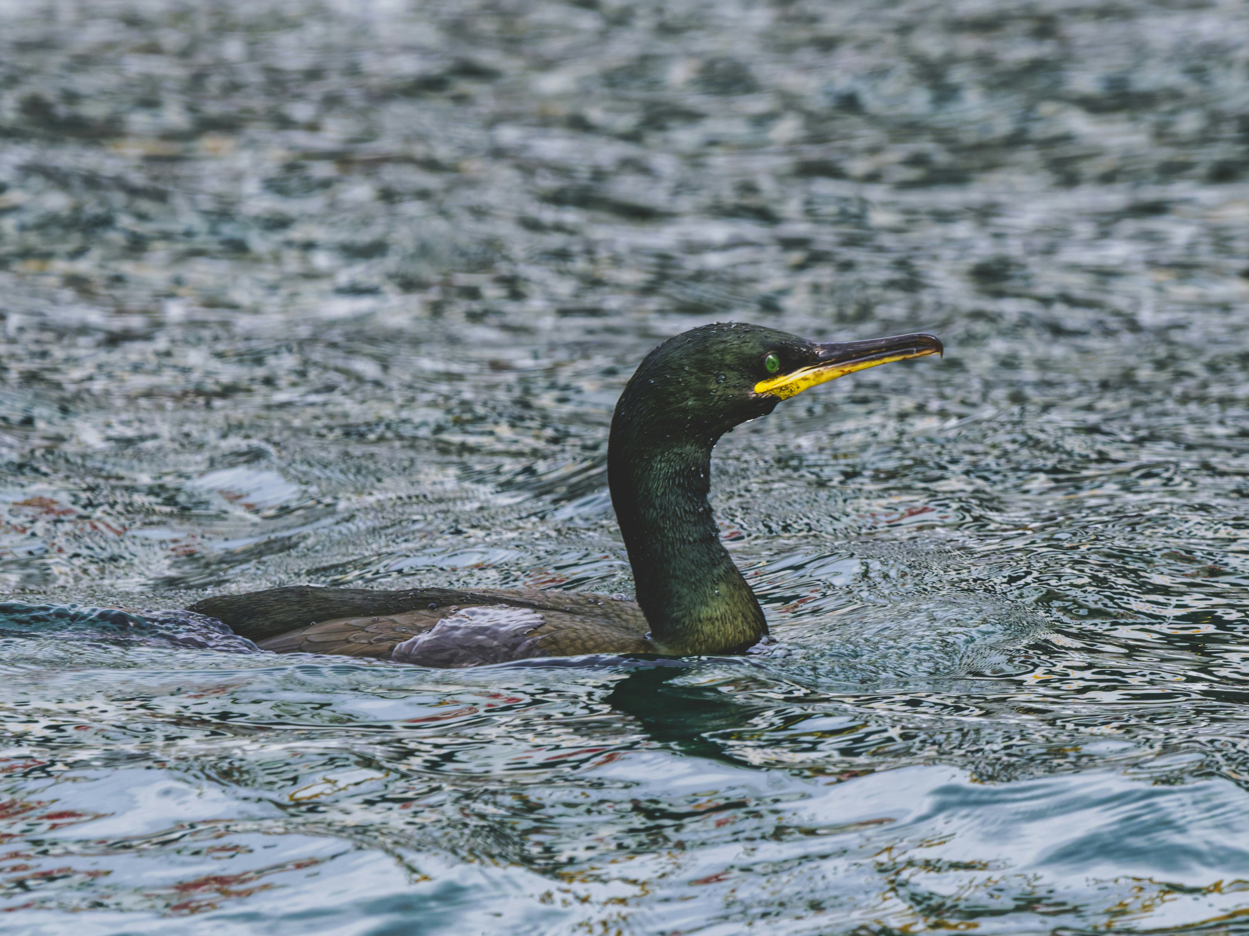 Photo by enginakyurt