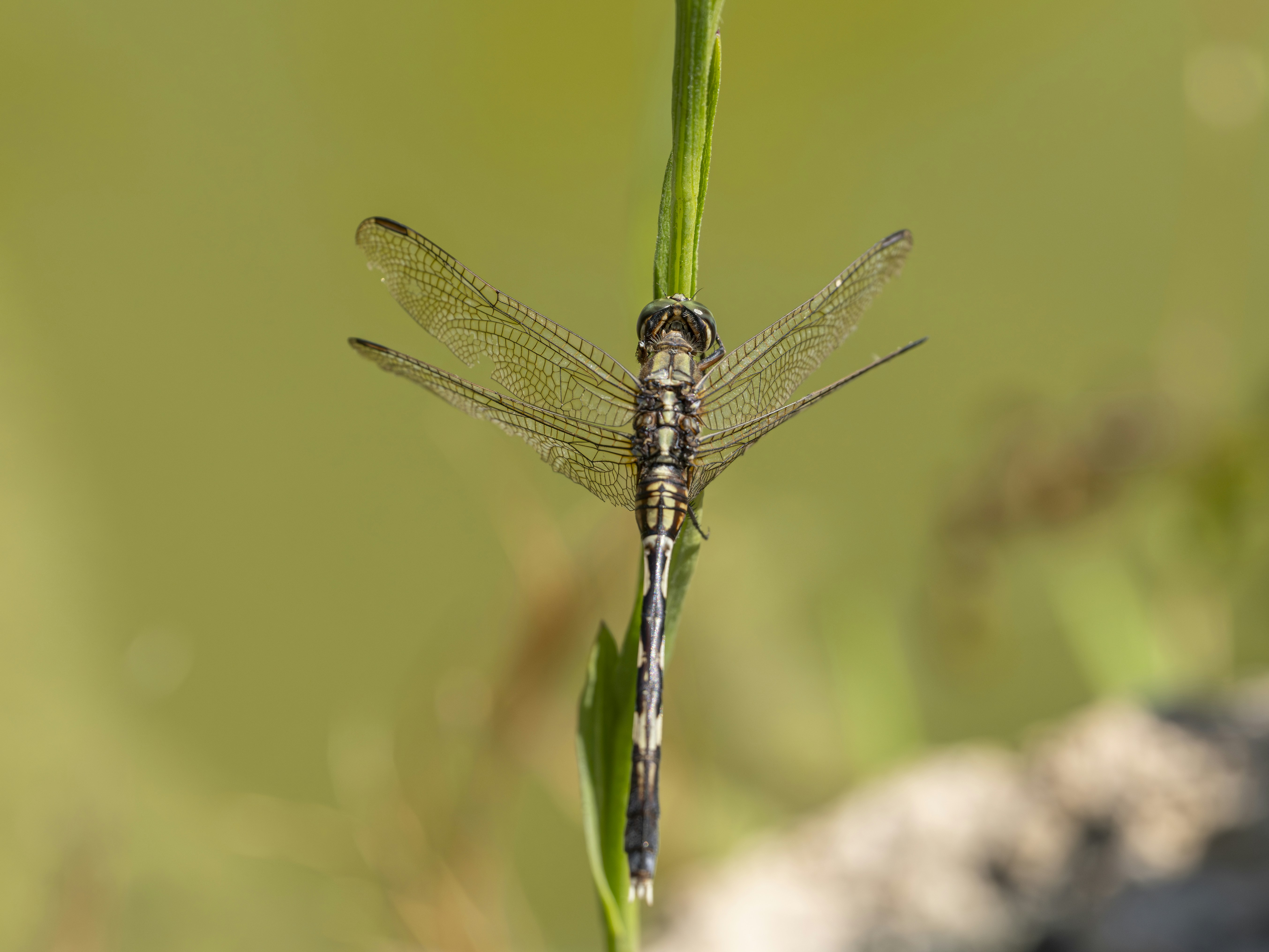 Photo by enginakyurt