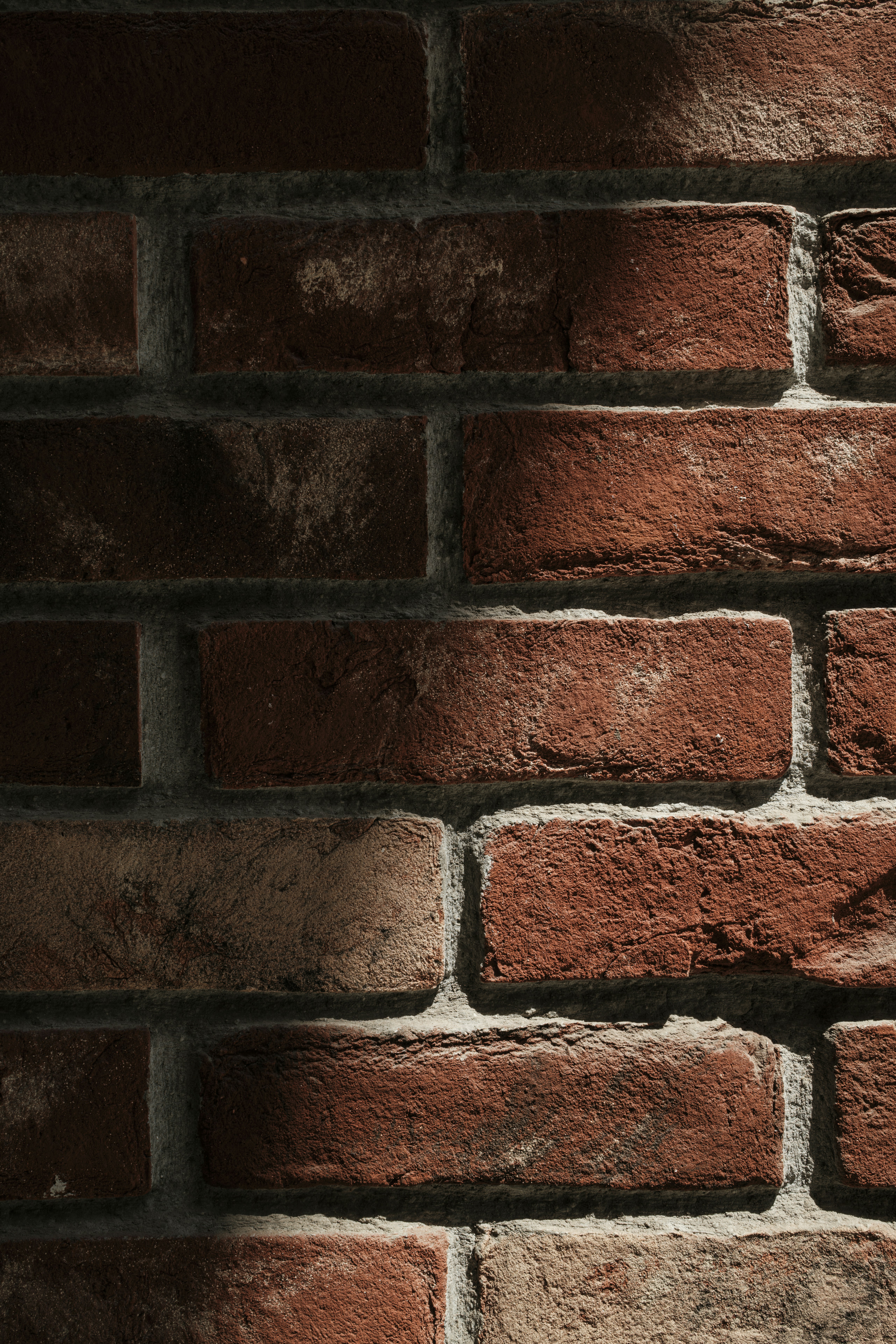 Photo by enginakyurt