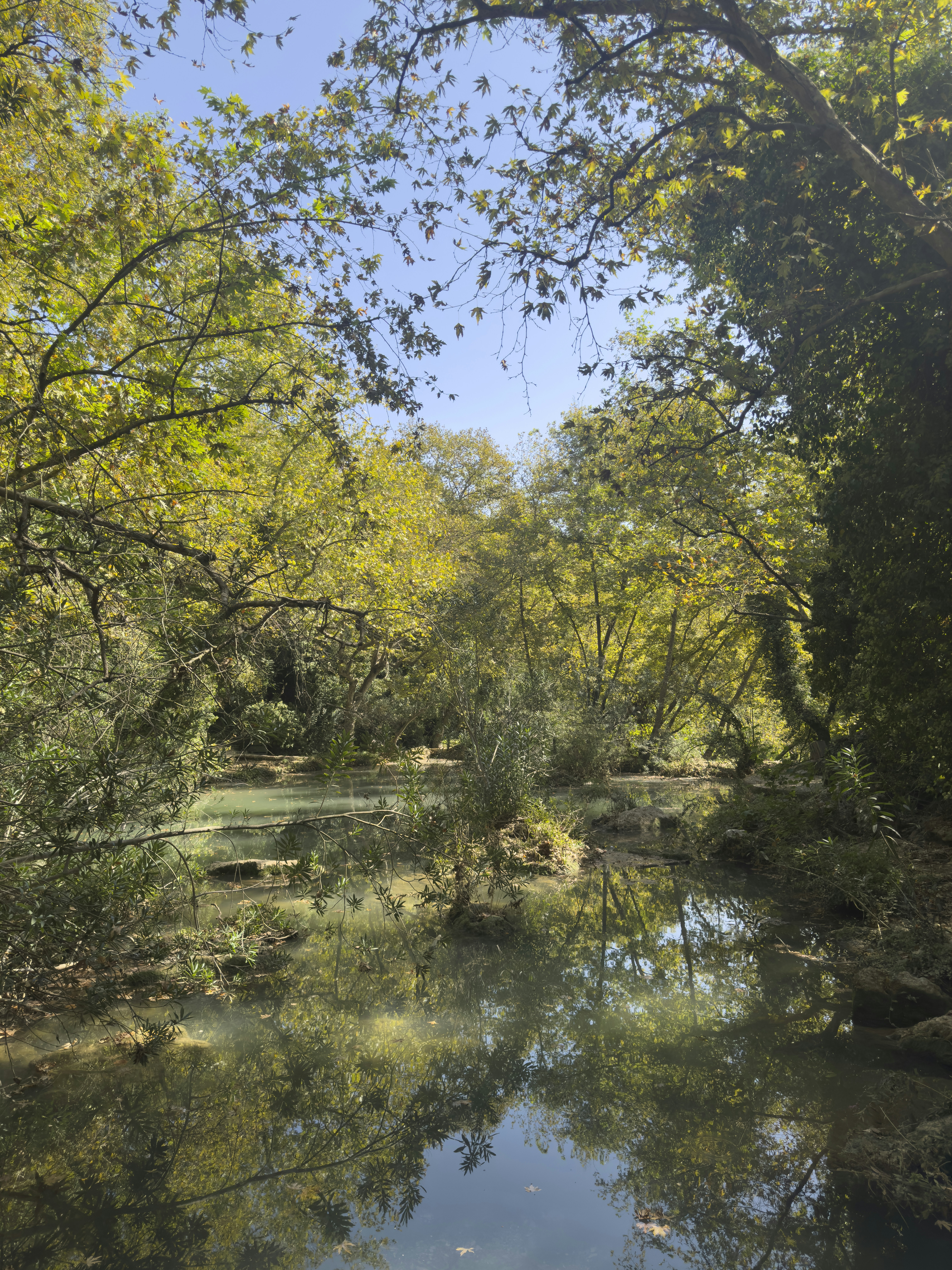 Photo by enginakyurt