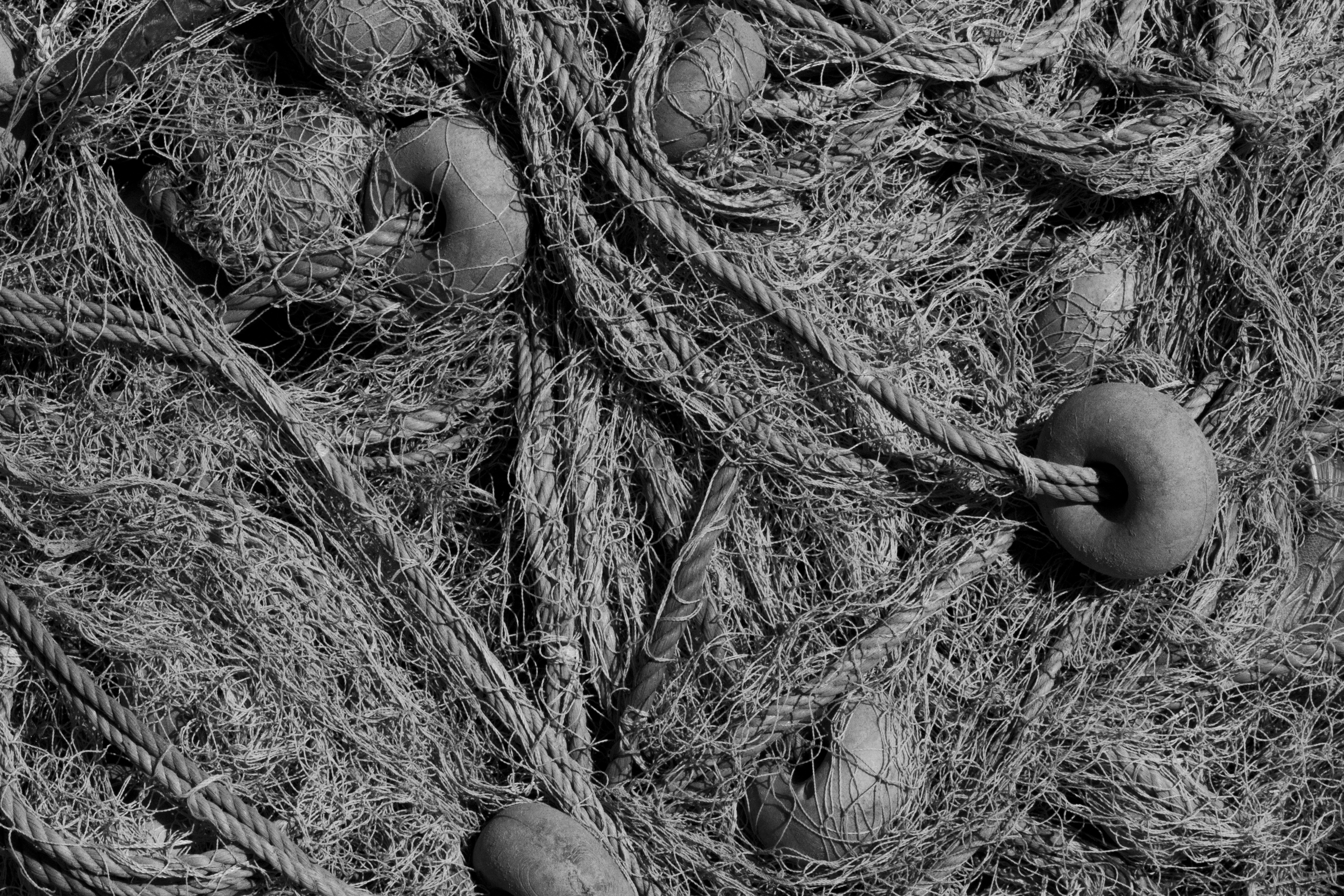 Photo by enginakyurt