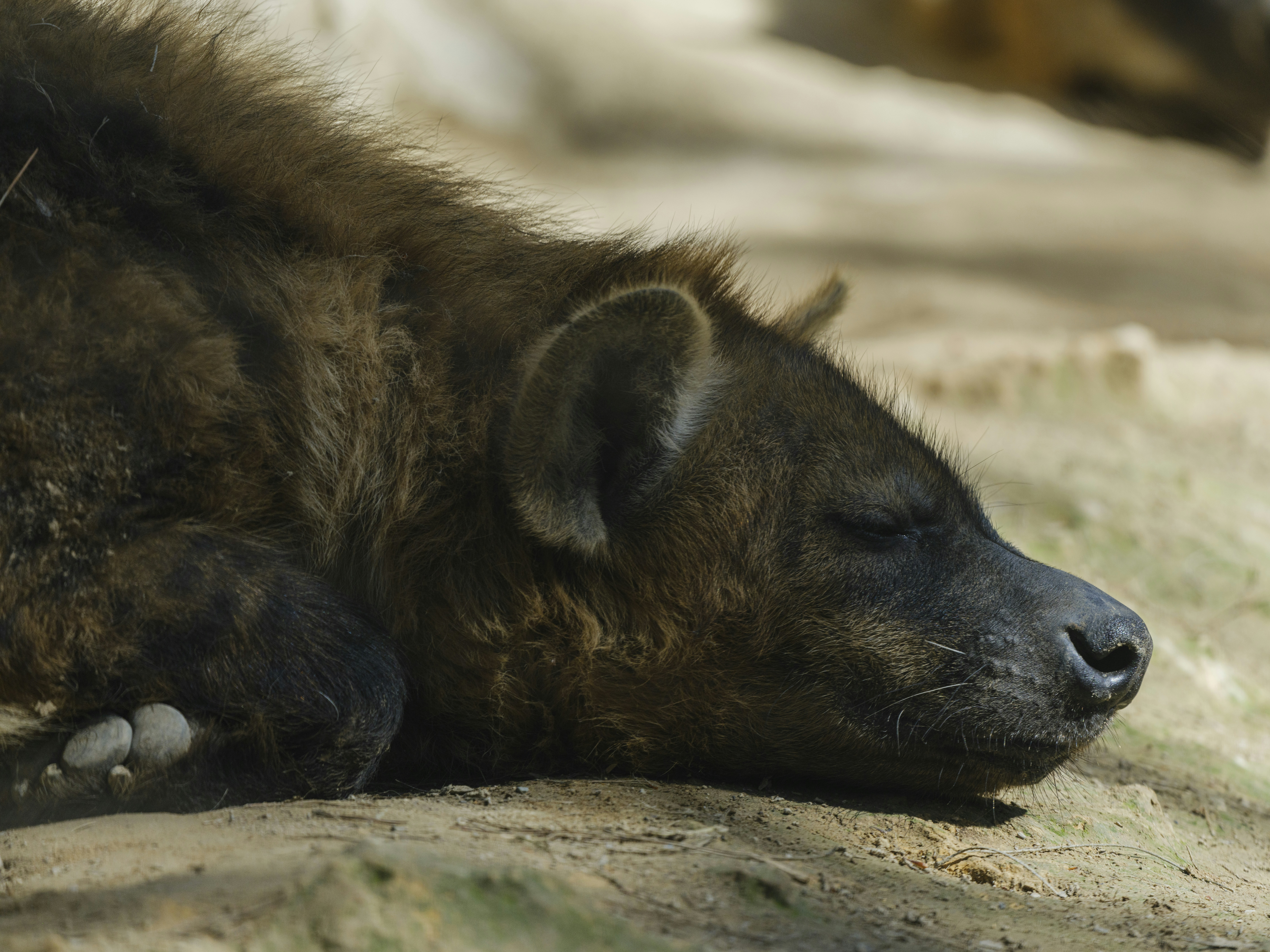 Photo by enginakyurt