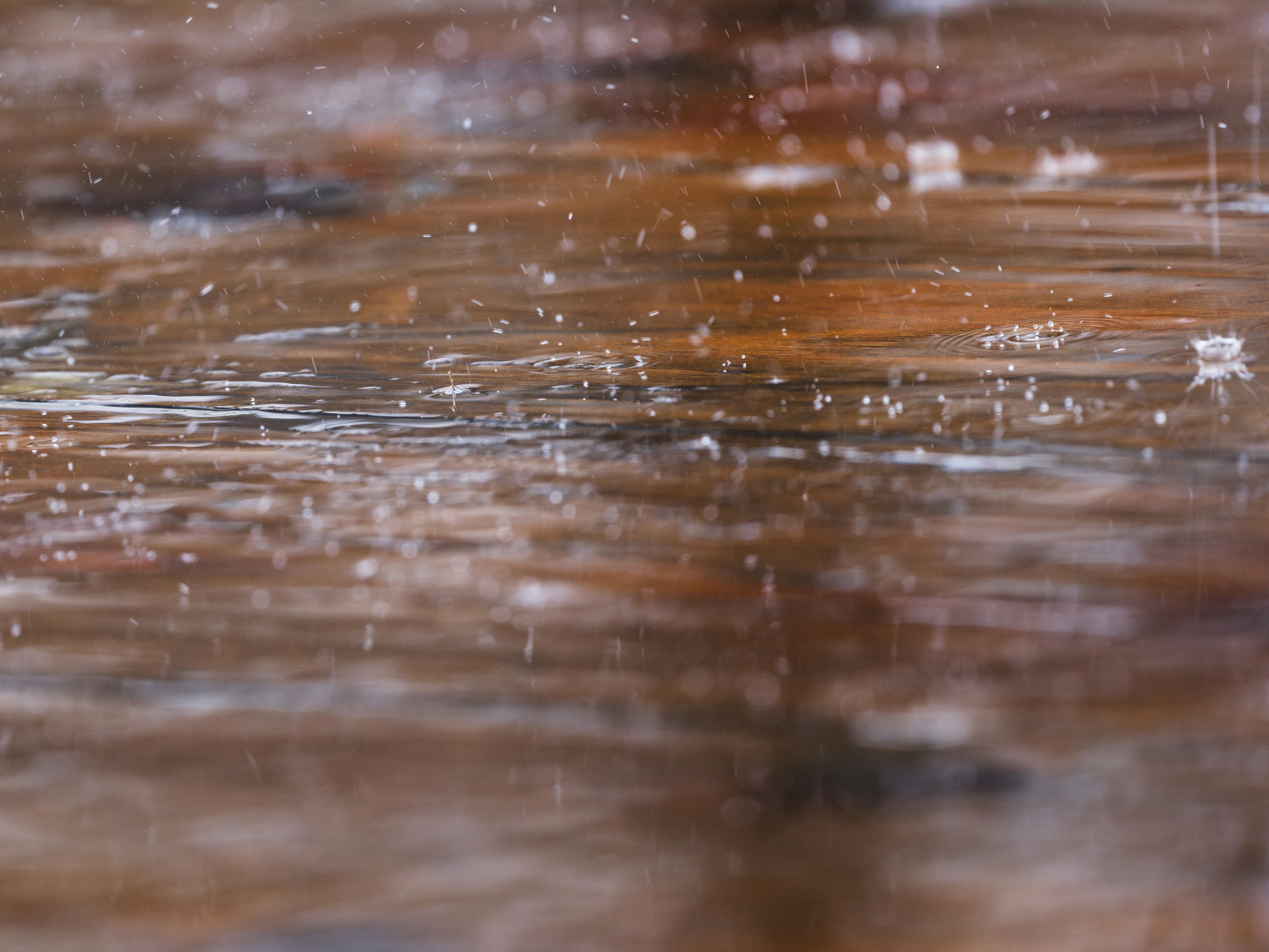 Photo by enginakyurt