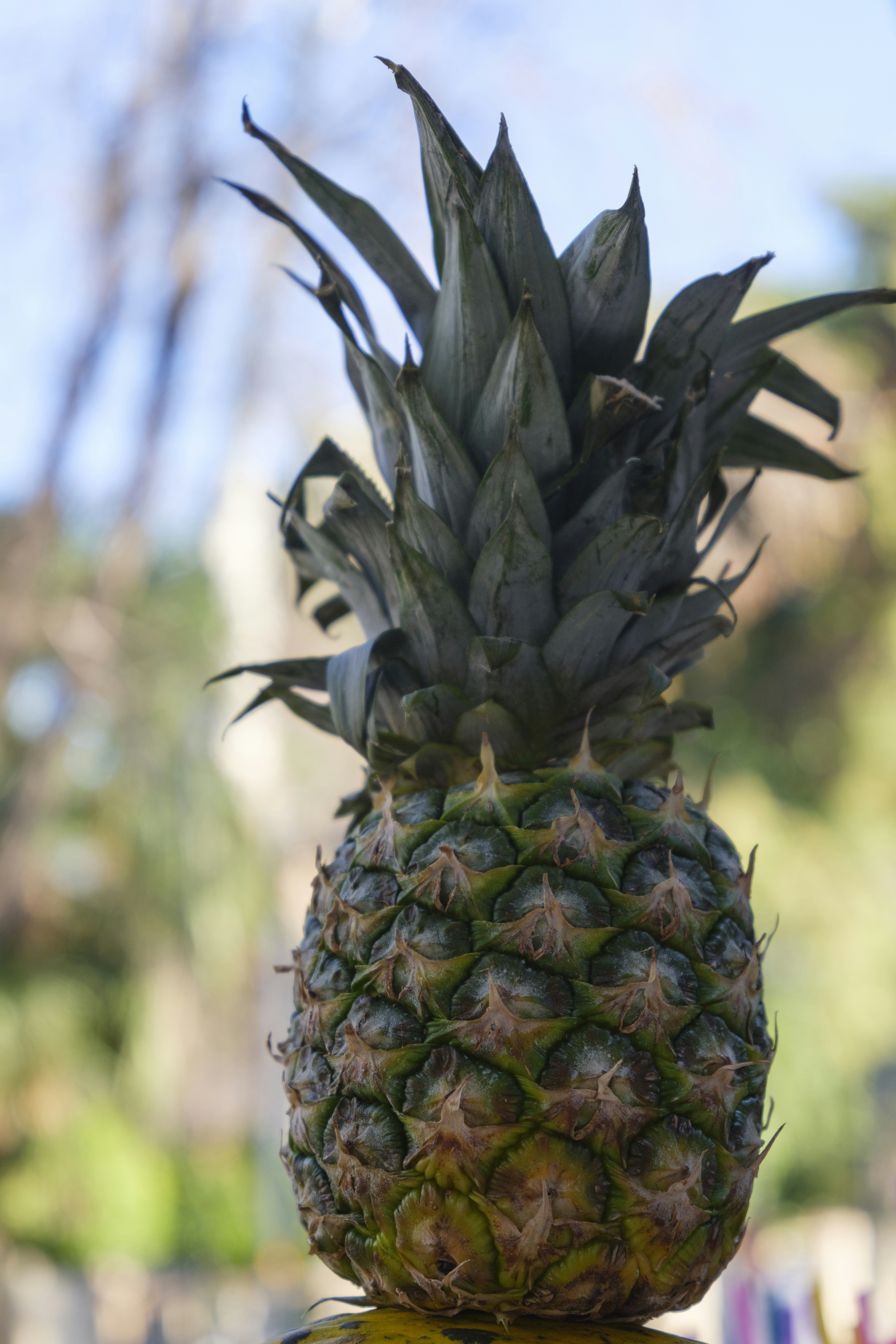 Photo by enginakyurt