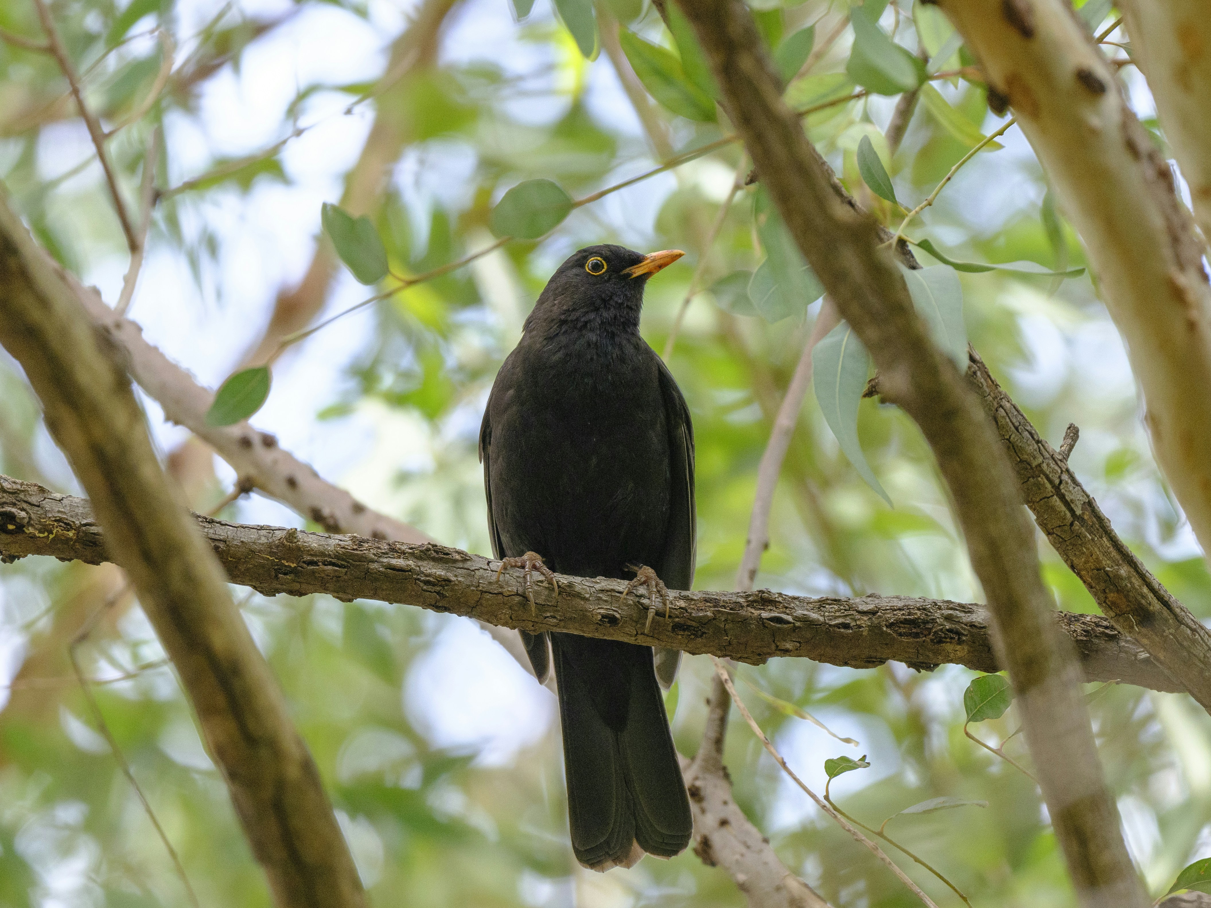 Photo by enginakyurt