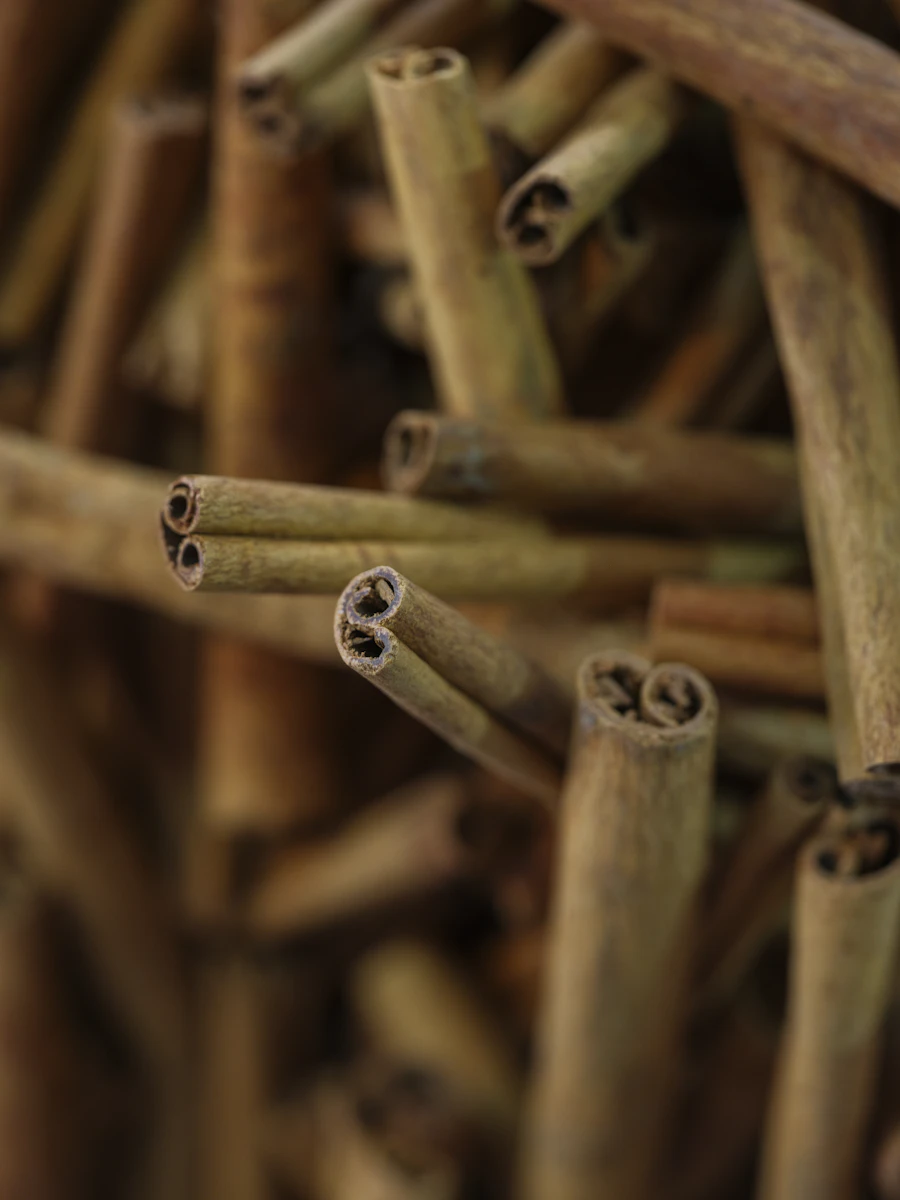 Whole cinnamon sticks piled together