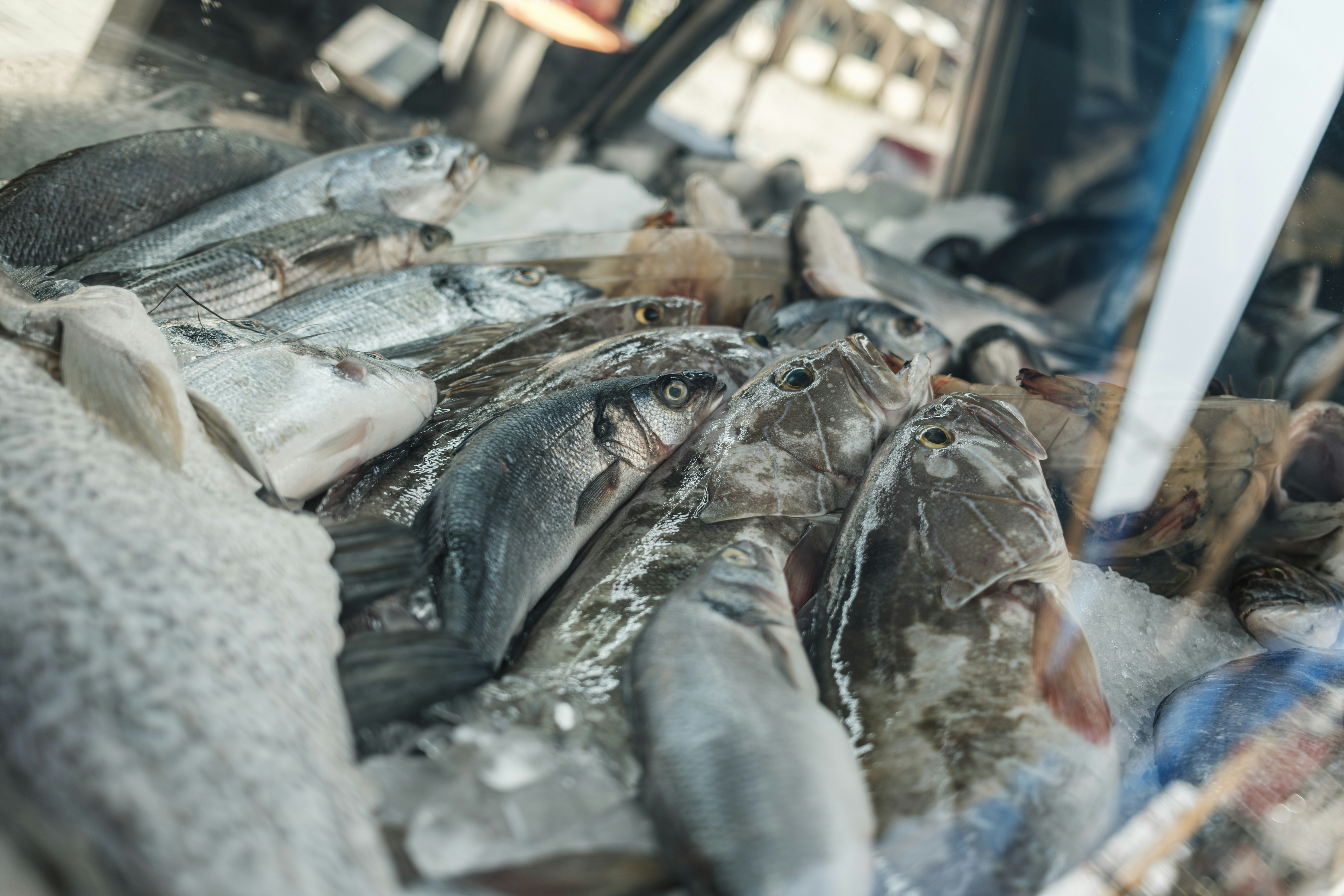 Global Study Reveals Significant Food Safety Risks in Marine Fish Consumption