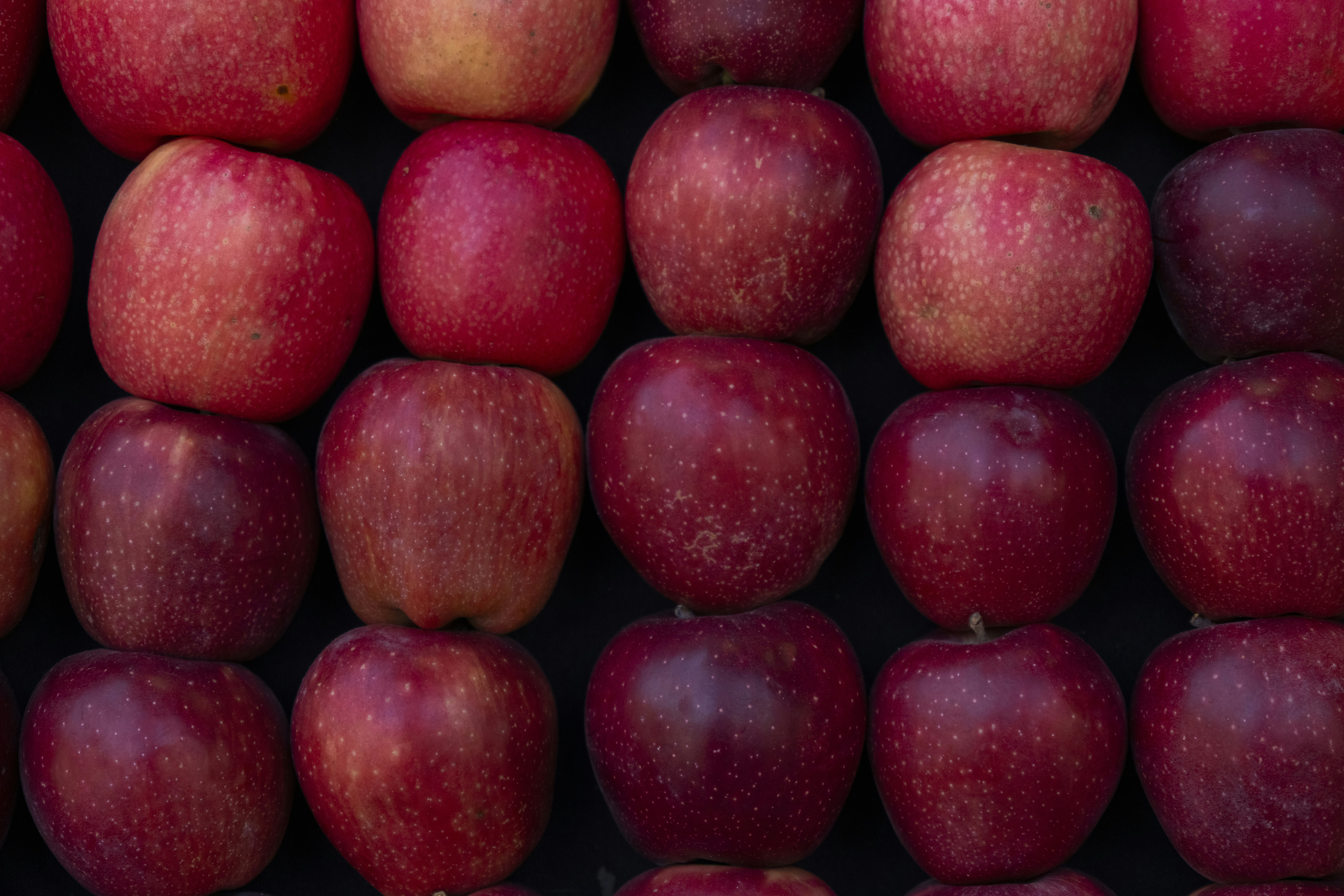 fresh red apples wallpaper, wallpaper, Kandungan Buah Apel dan Manfaat Luar Biasa bagi Kesehatan 2