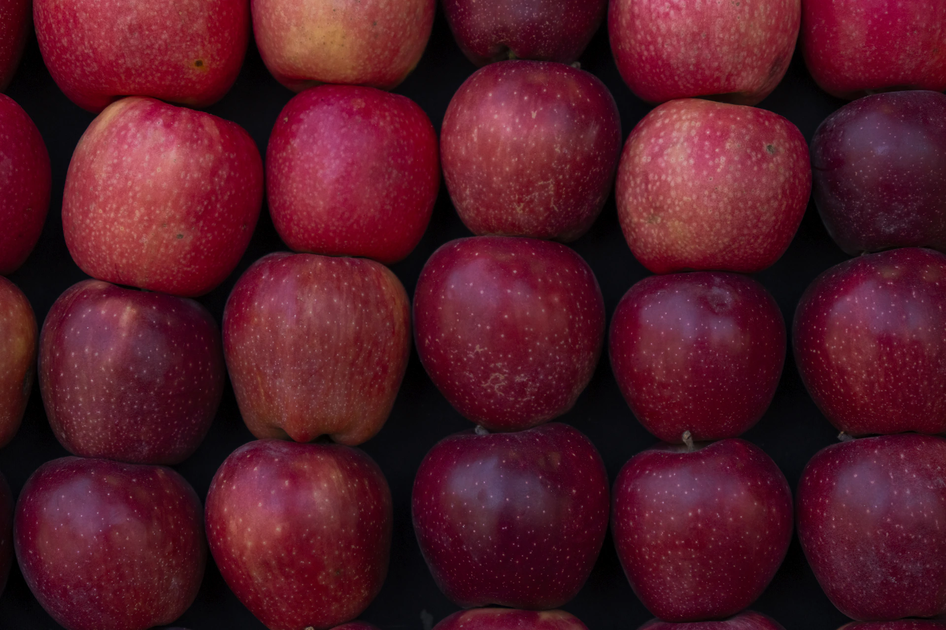 Rows of fresh red apples stacked neatly