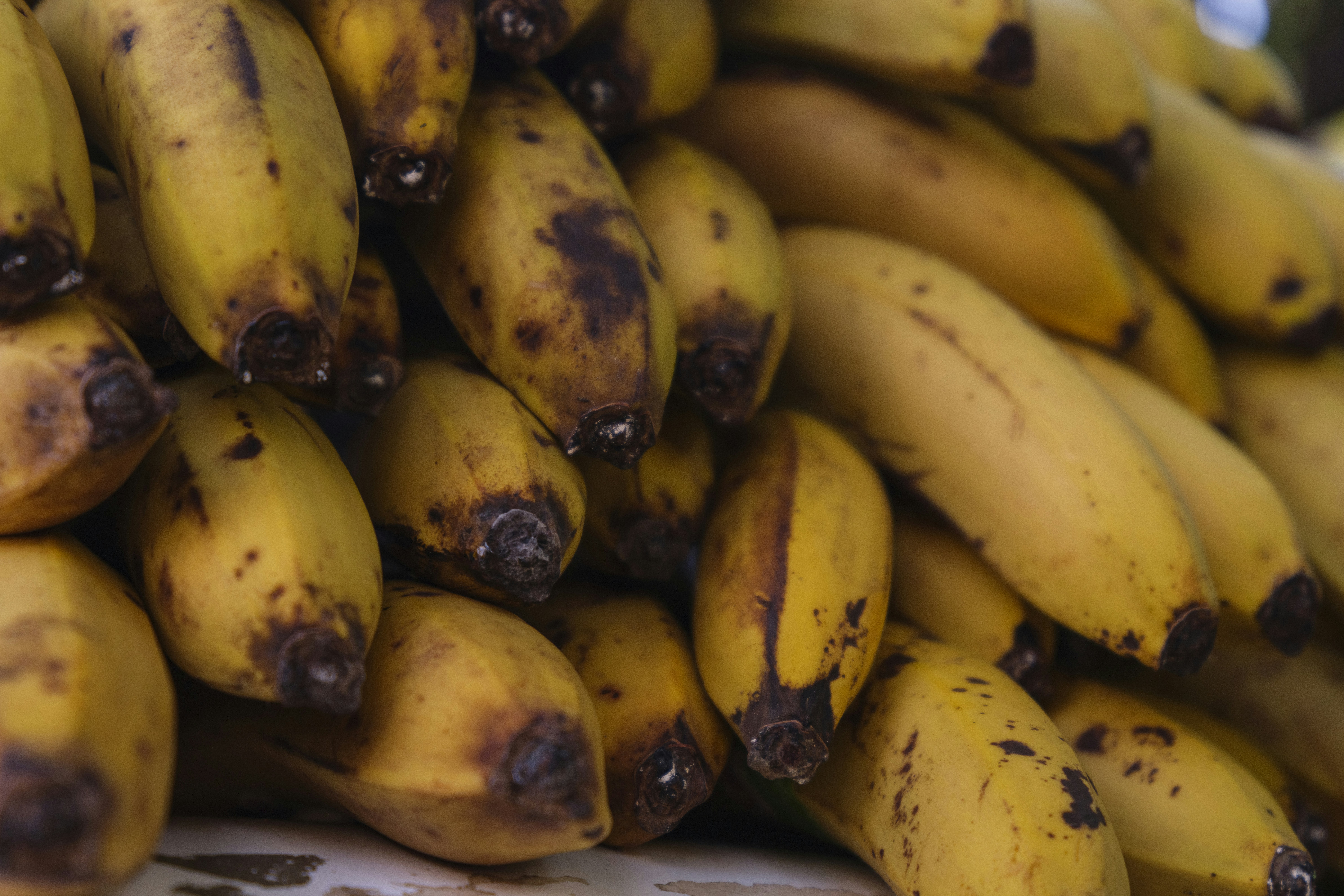 Photo by enginakyurt