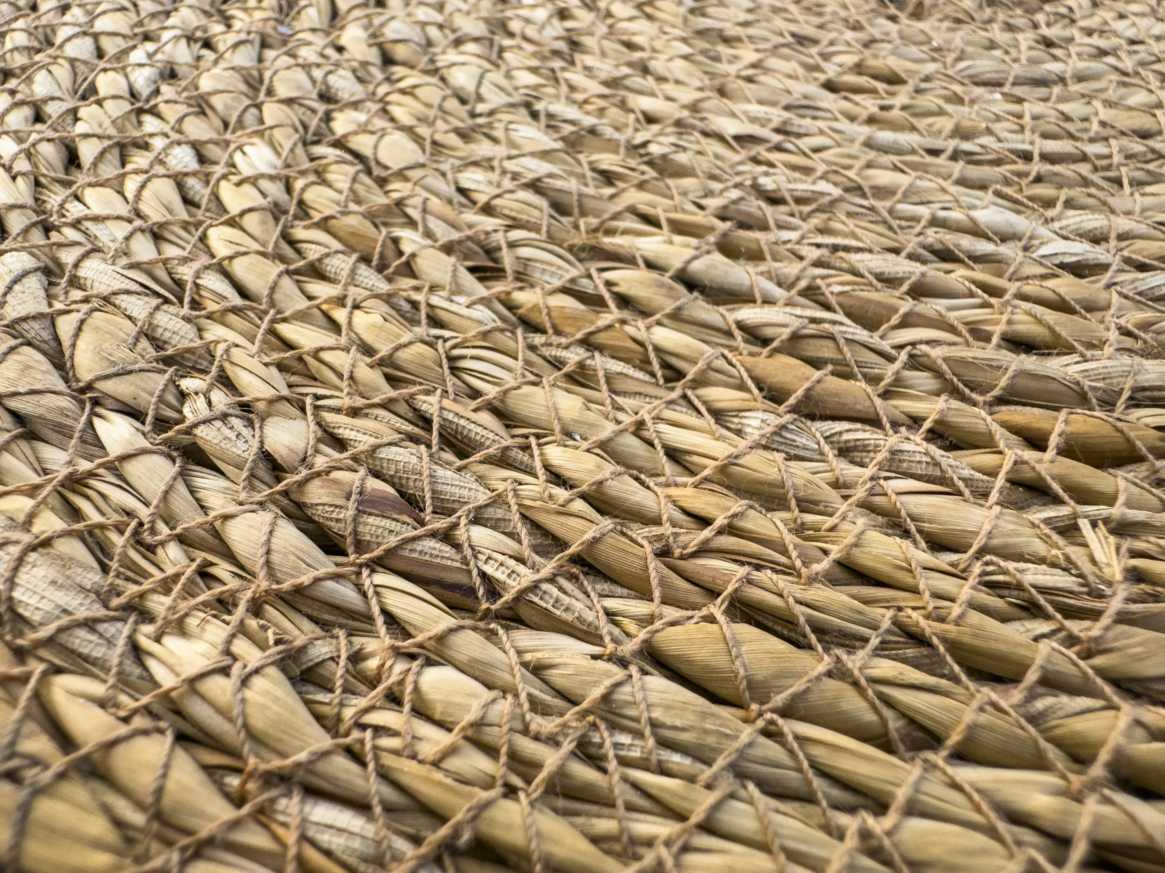 Photo by enginakyurt