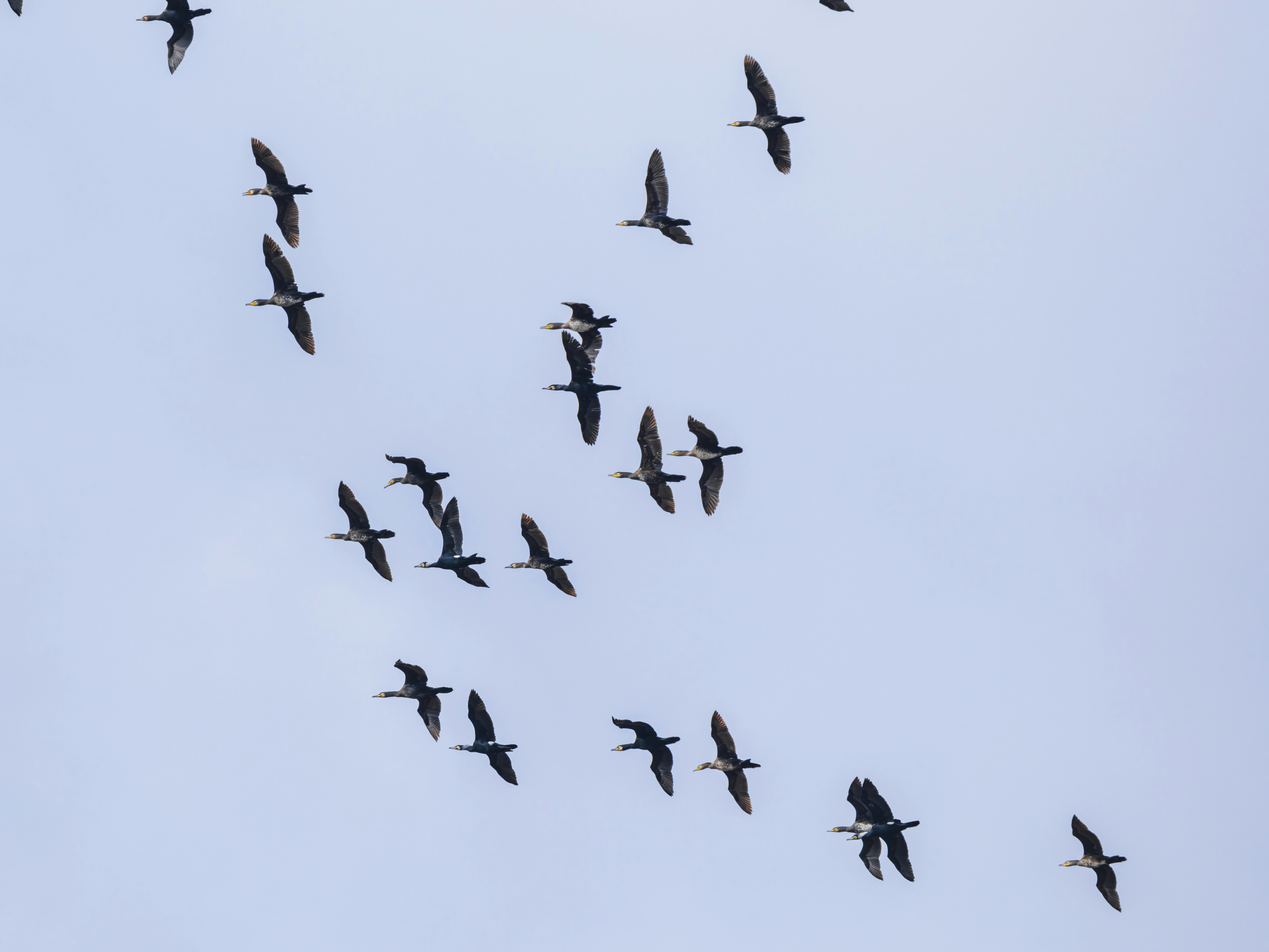 Photo by enginakyurt