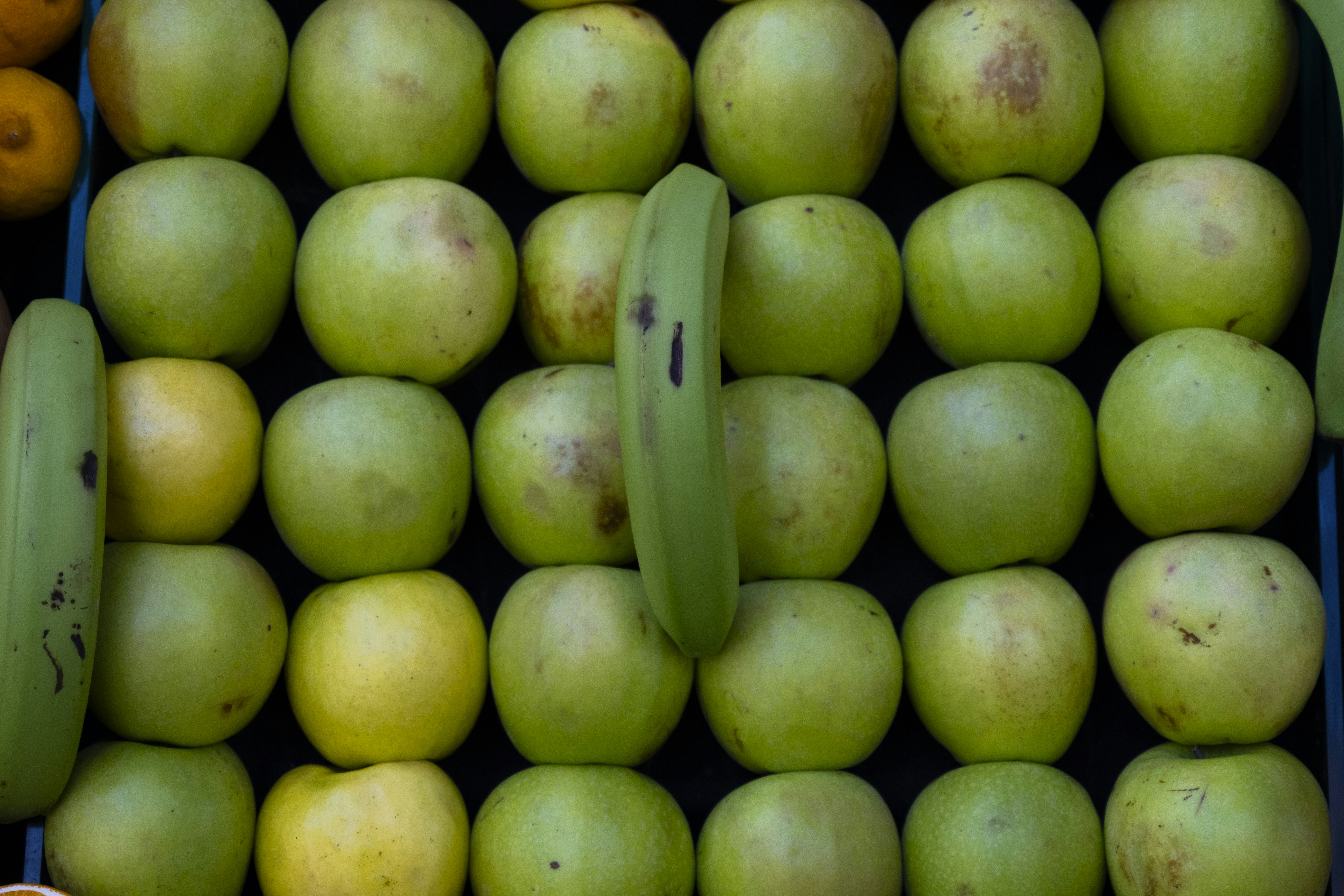 Photo by enginakyurt