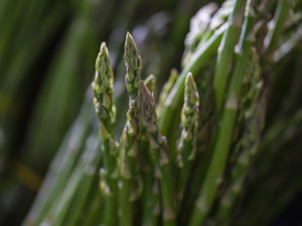 Gebakken Heilbot met Groene Asperges