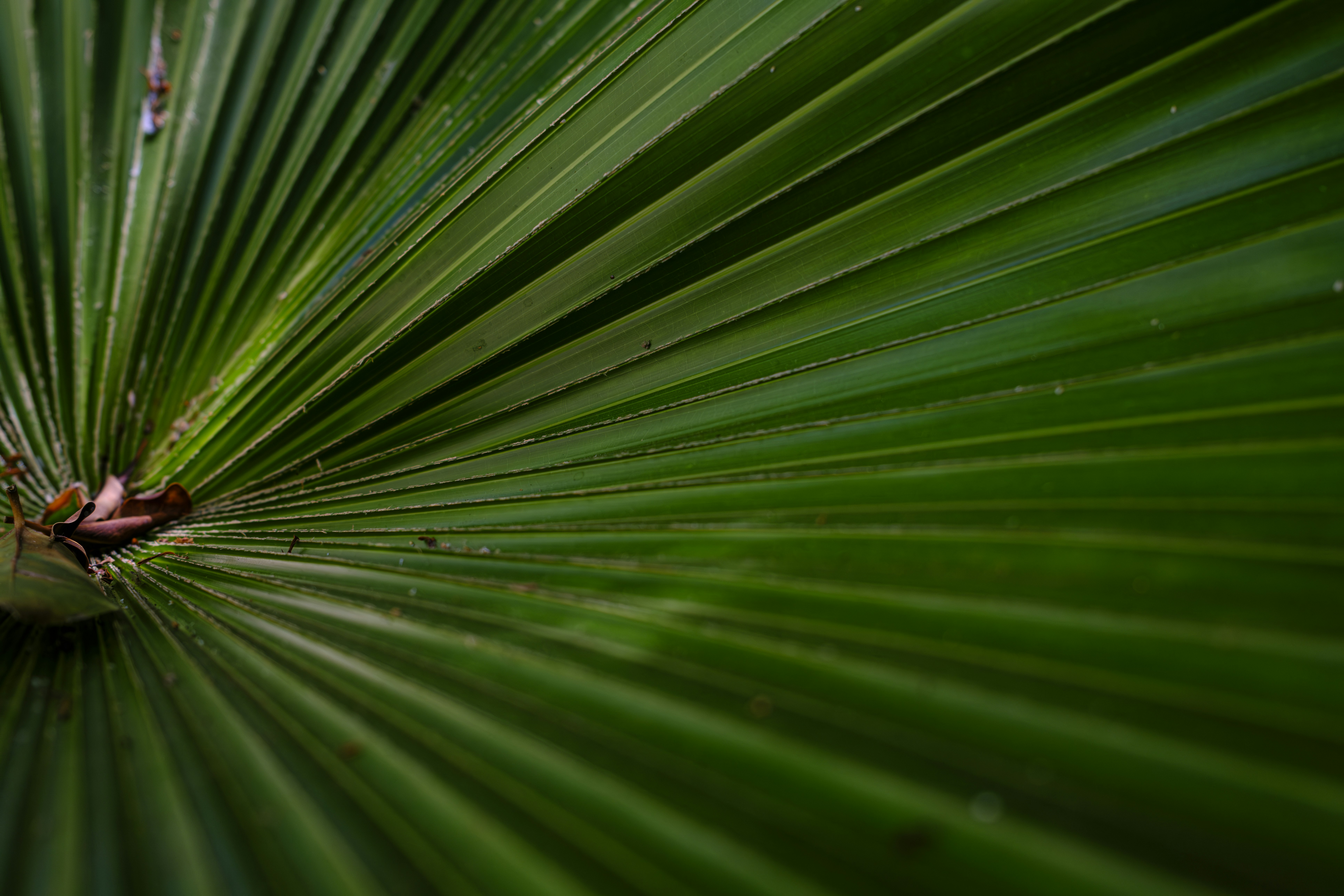 Photo by enginakyurt