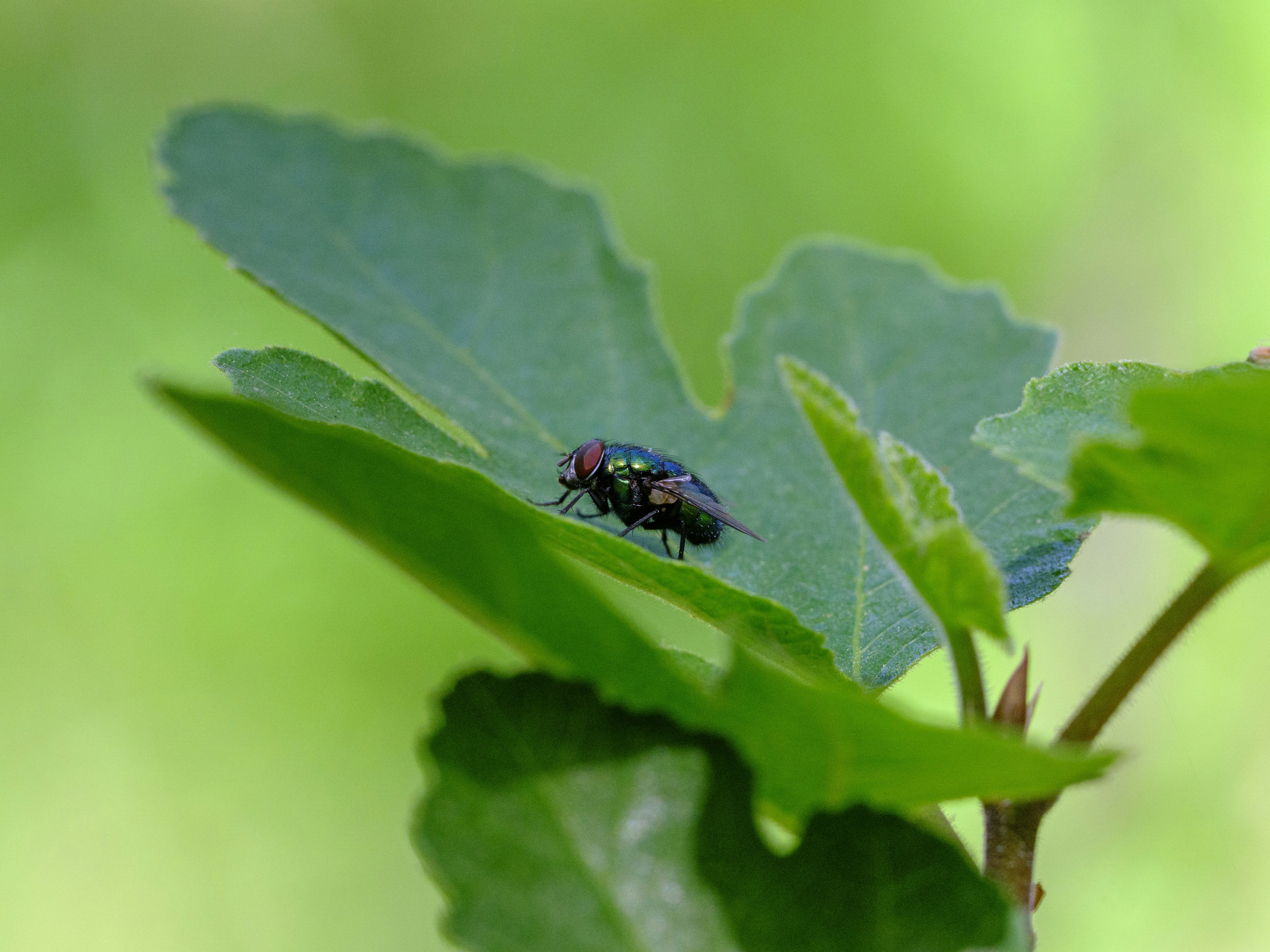 Photo by enginakyurt