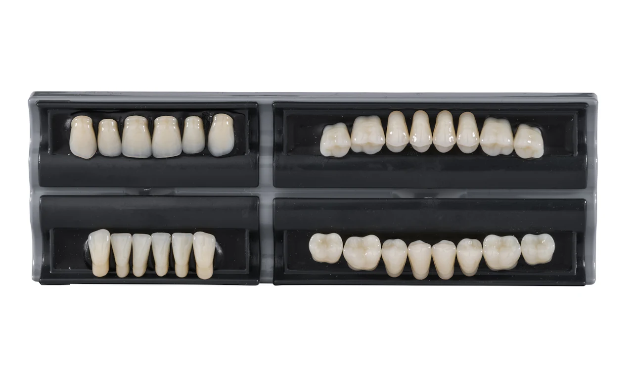 Dental crown and bridge models