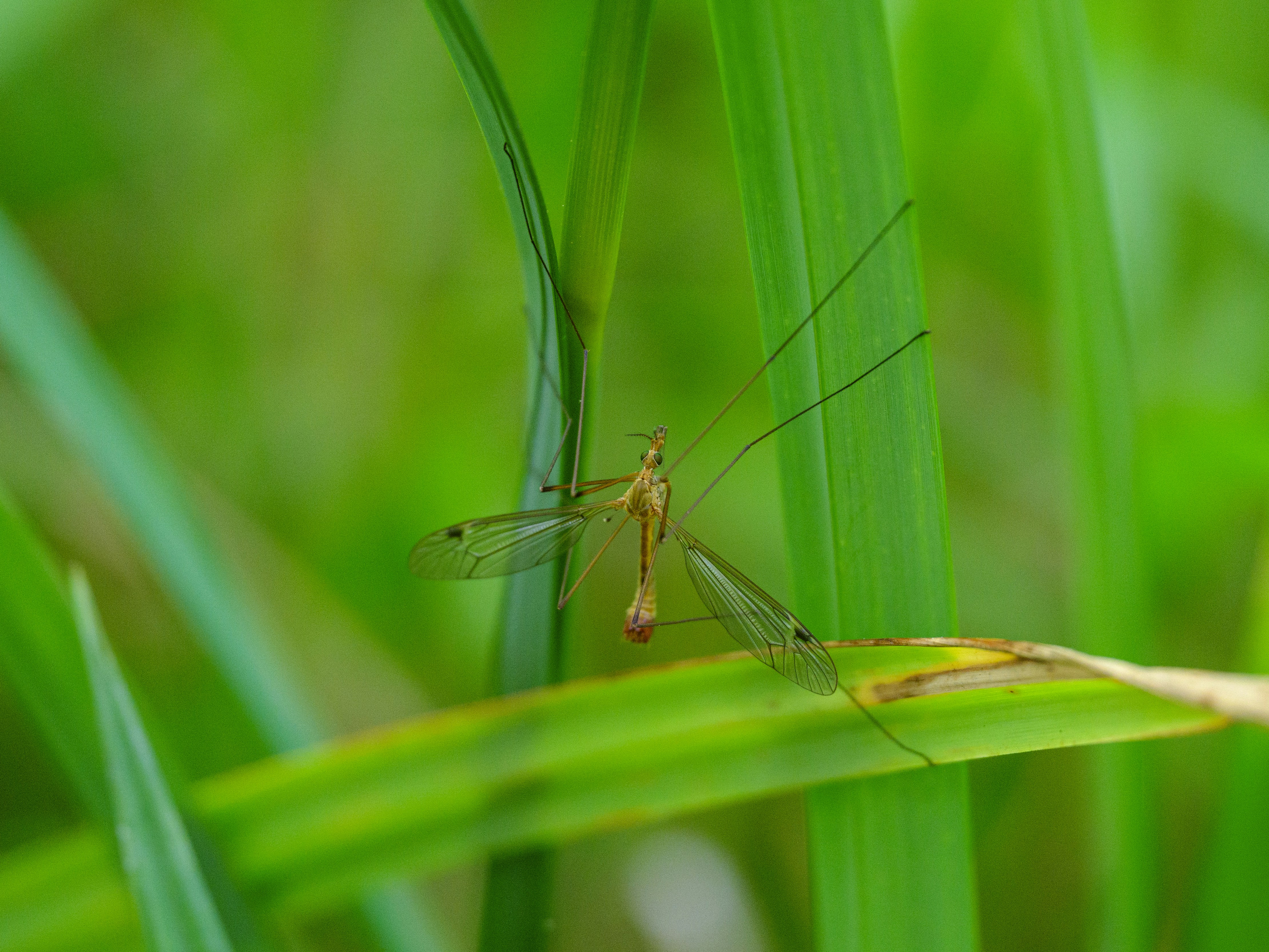 Photo by enginakyurt