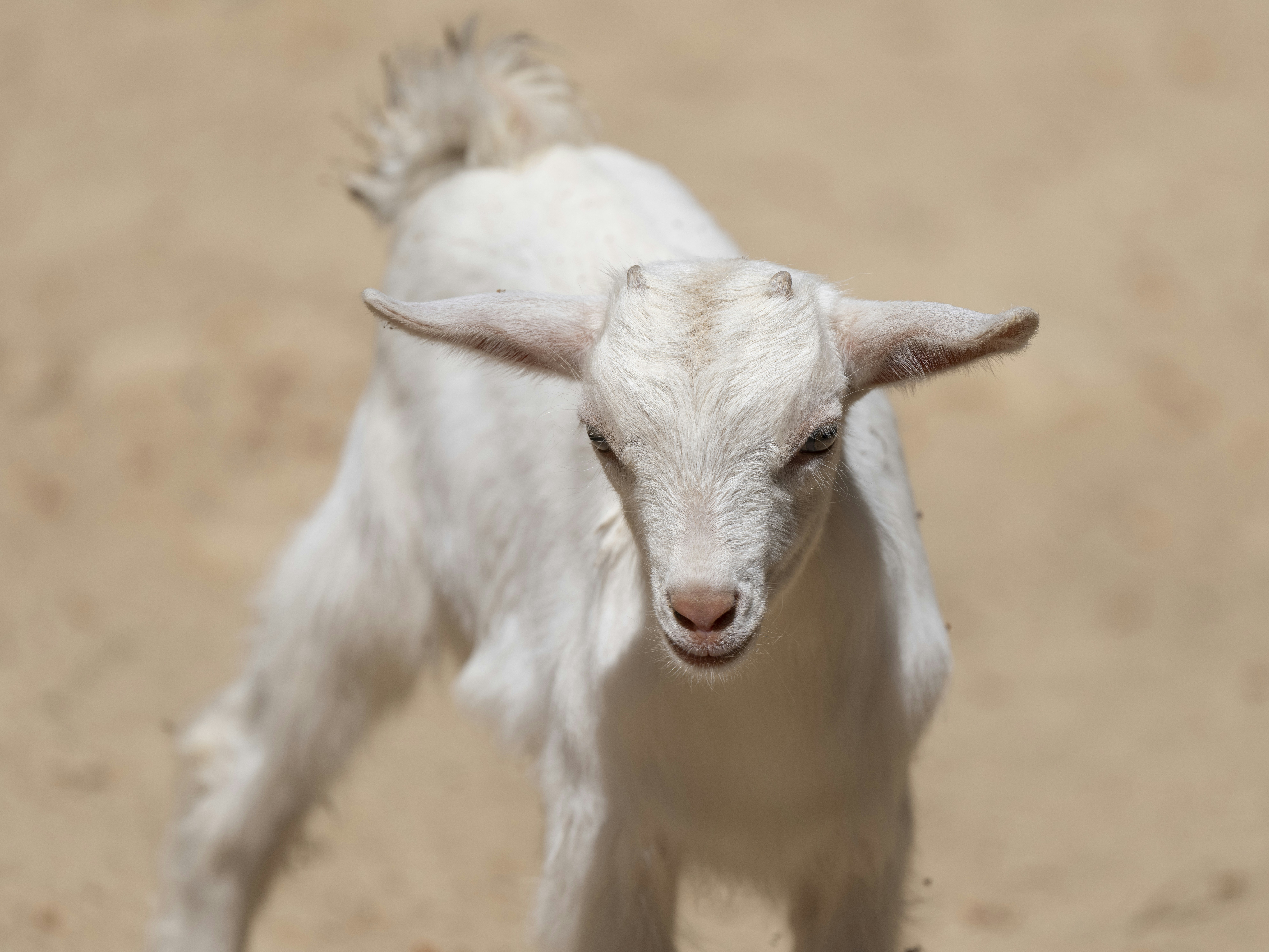 Photo by enginakyurt