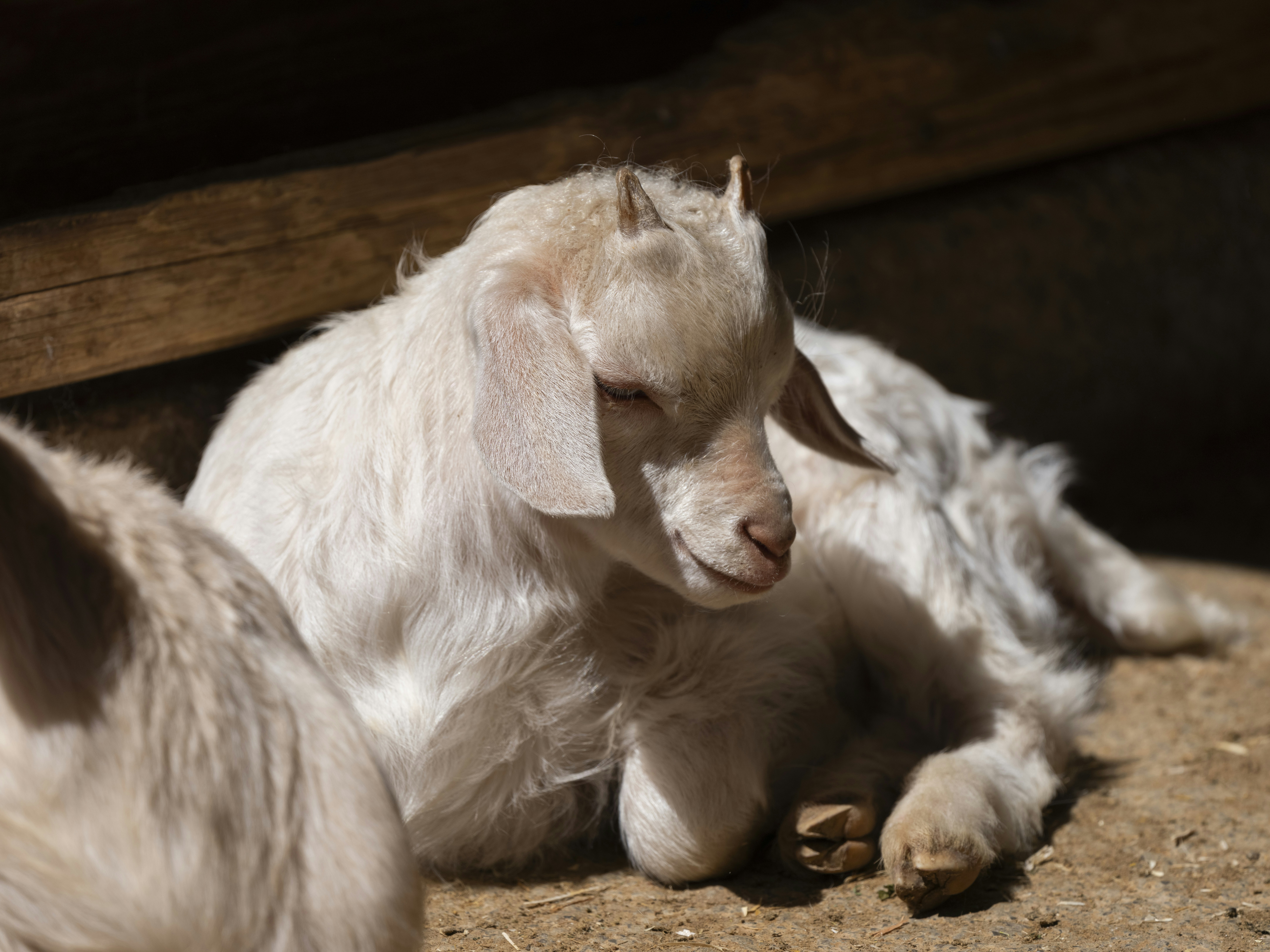 Photo by enginakyurt