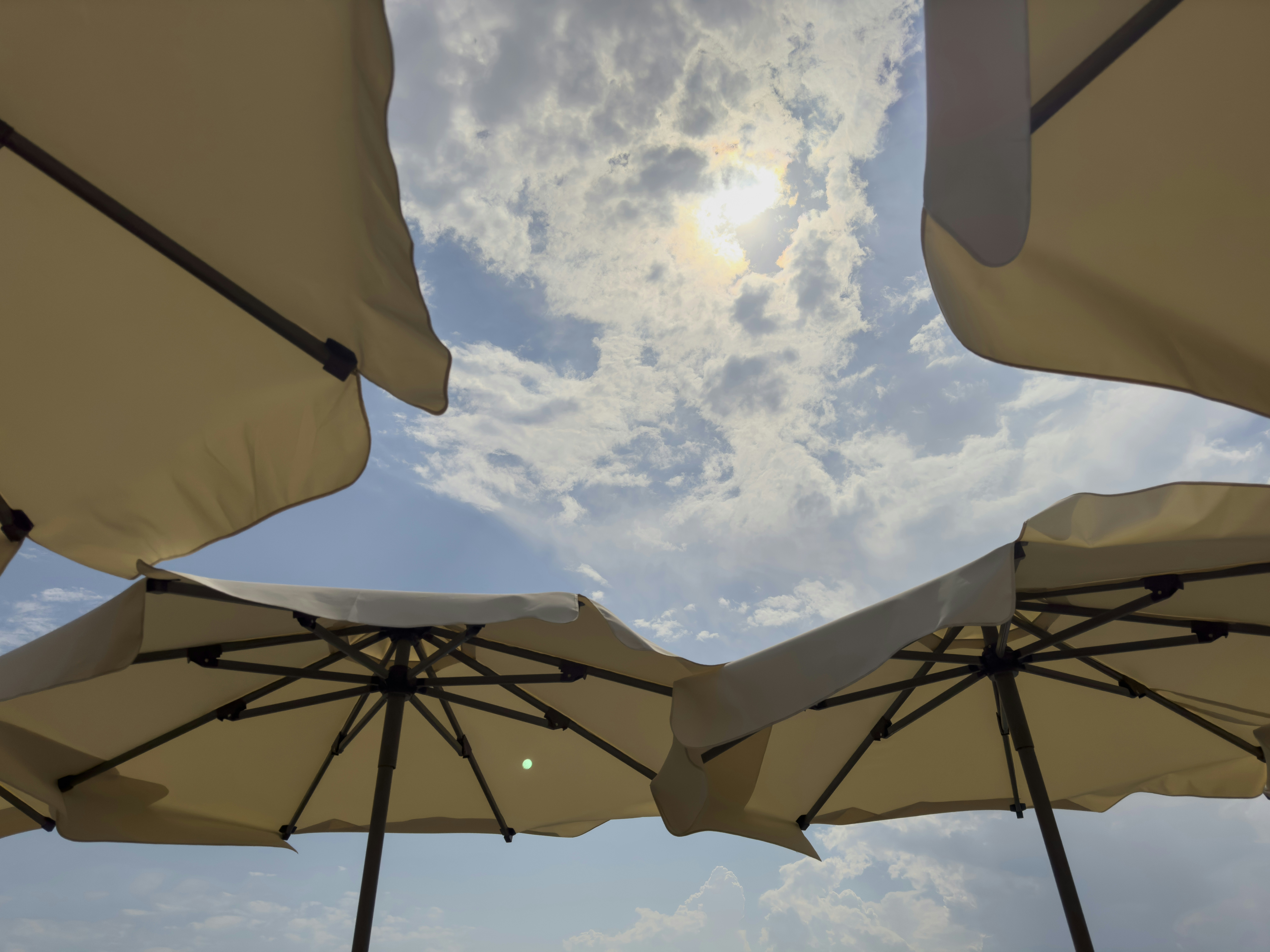 Photo by enginakyurt