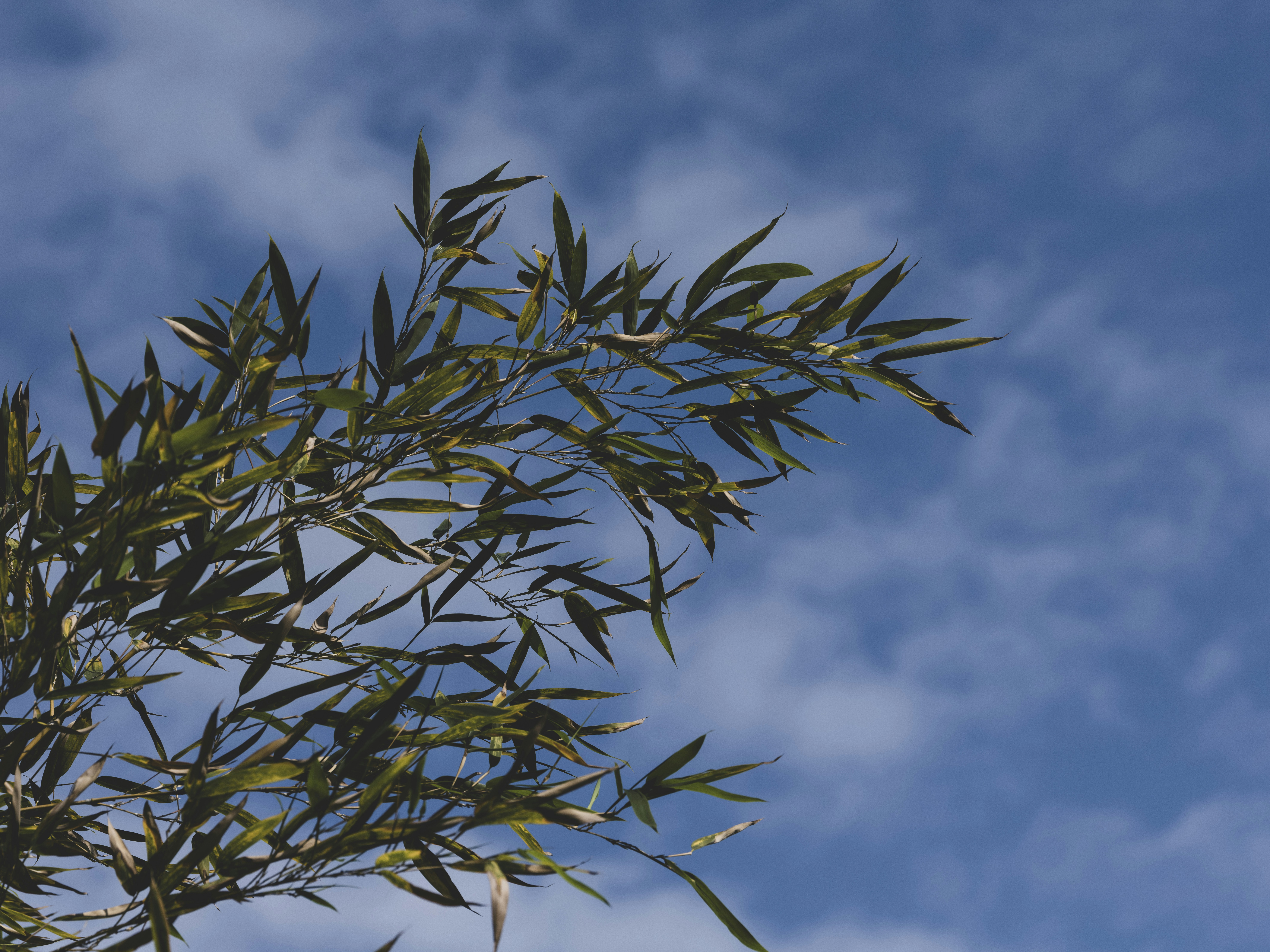 Photo by enginakyurt